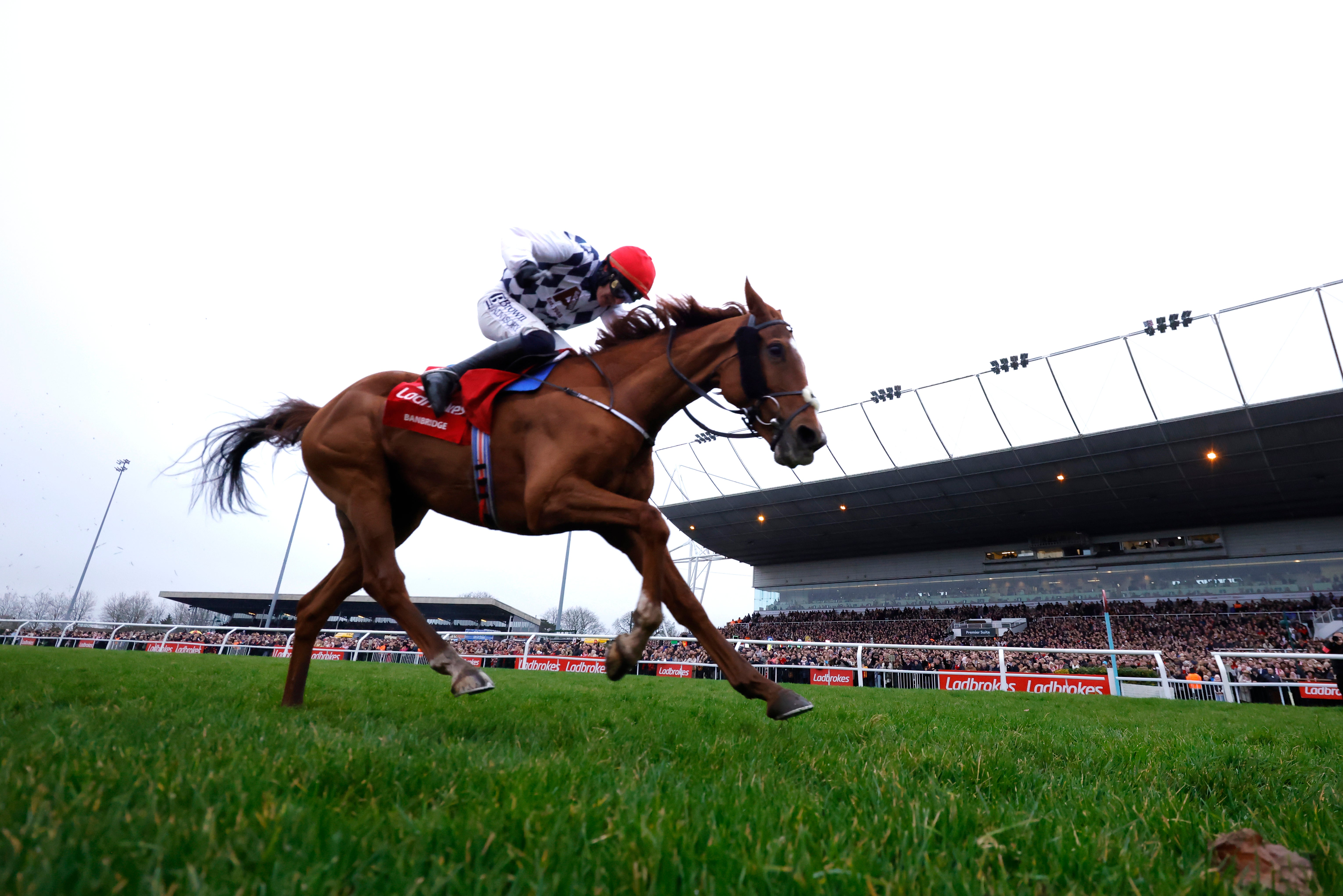 Banbridge won the King George VI Chase at Kempton but will be without jockey Paul Townend in the Gold Cup race