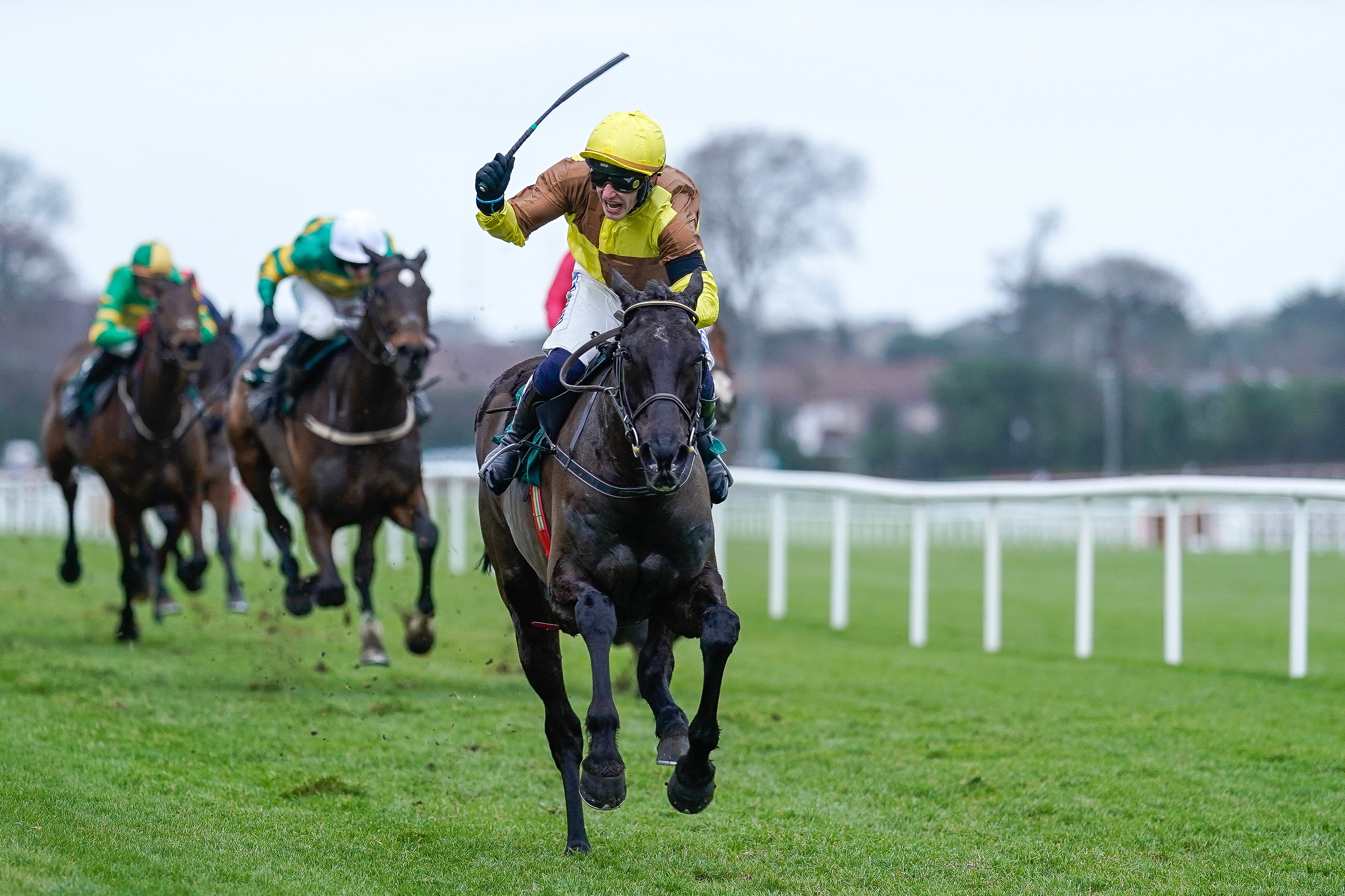 Paul Townend and Galopin Des Champs won the Irish Gold Cup in the build up to Cheltenham