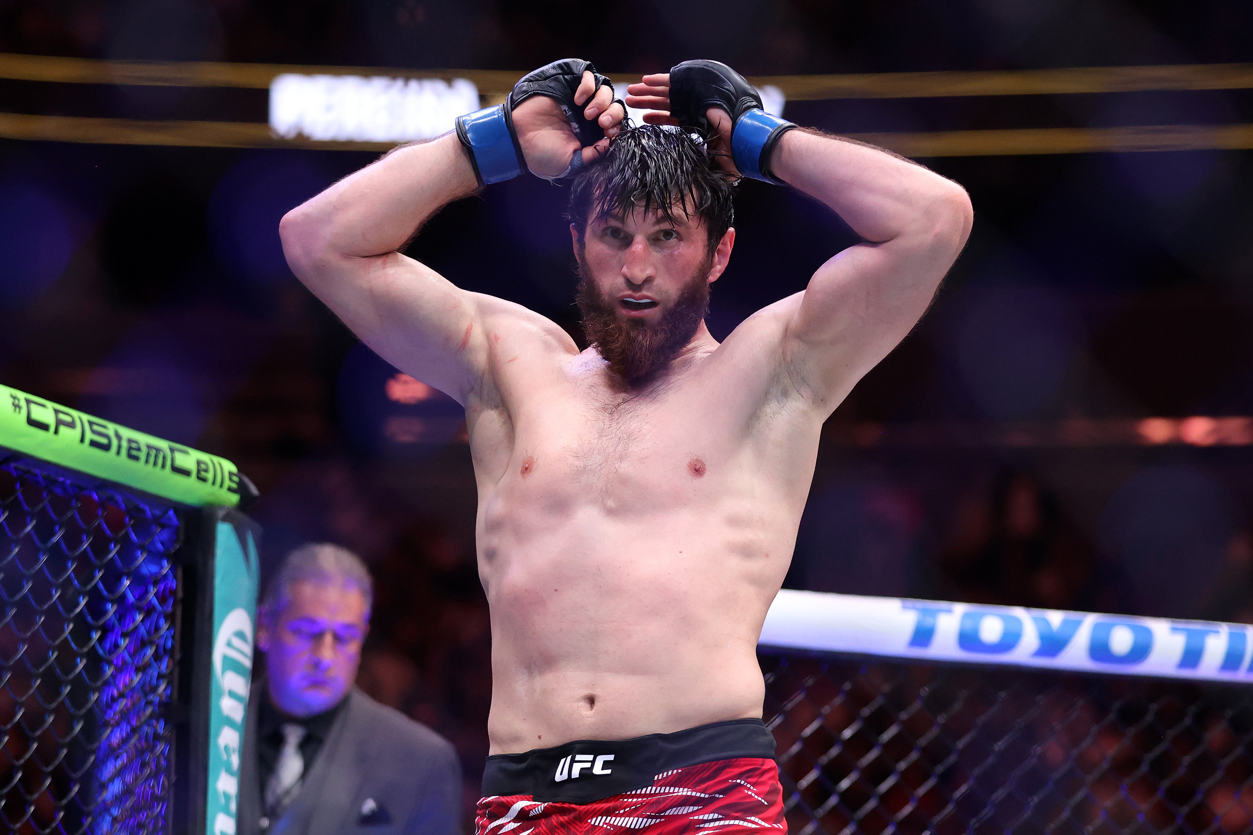 Magomed Ankalaev coach makes startling Alex Pereira claim ahead of UFC 320 clash