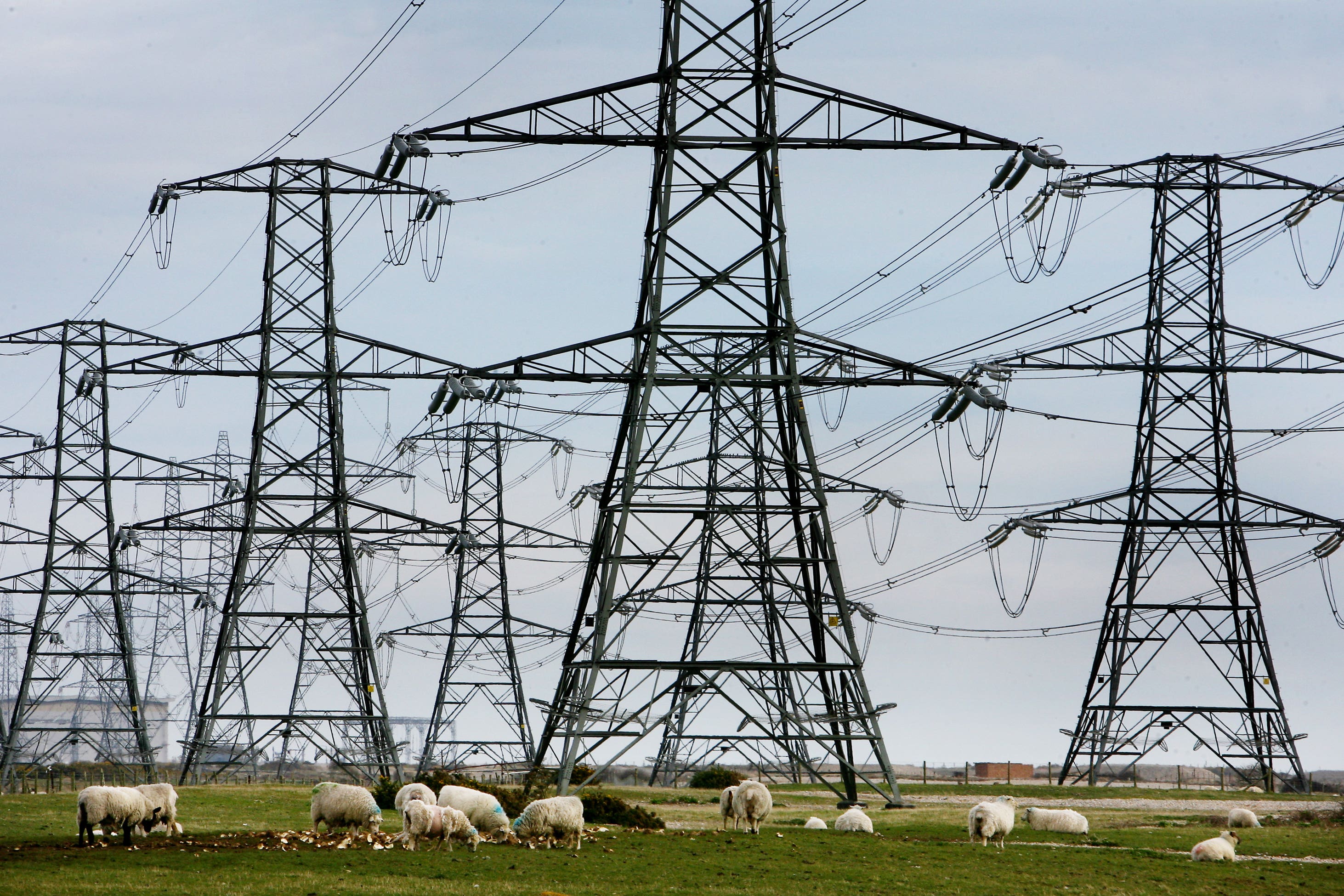 Overhead power cables (Gareth Fuller/PA)