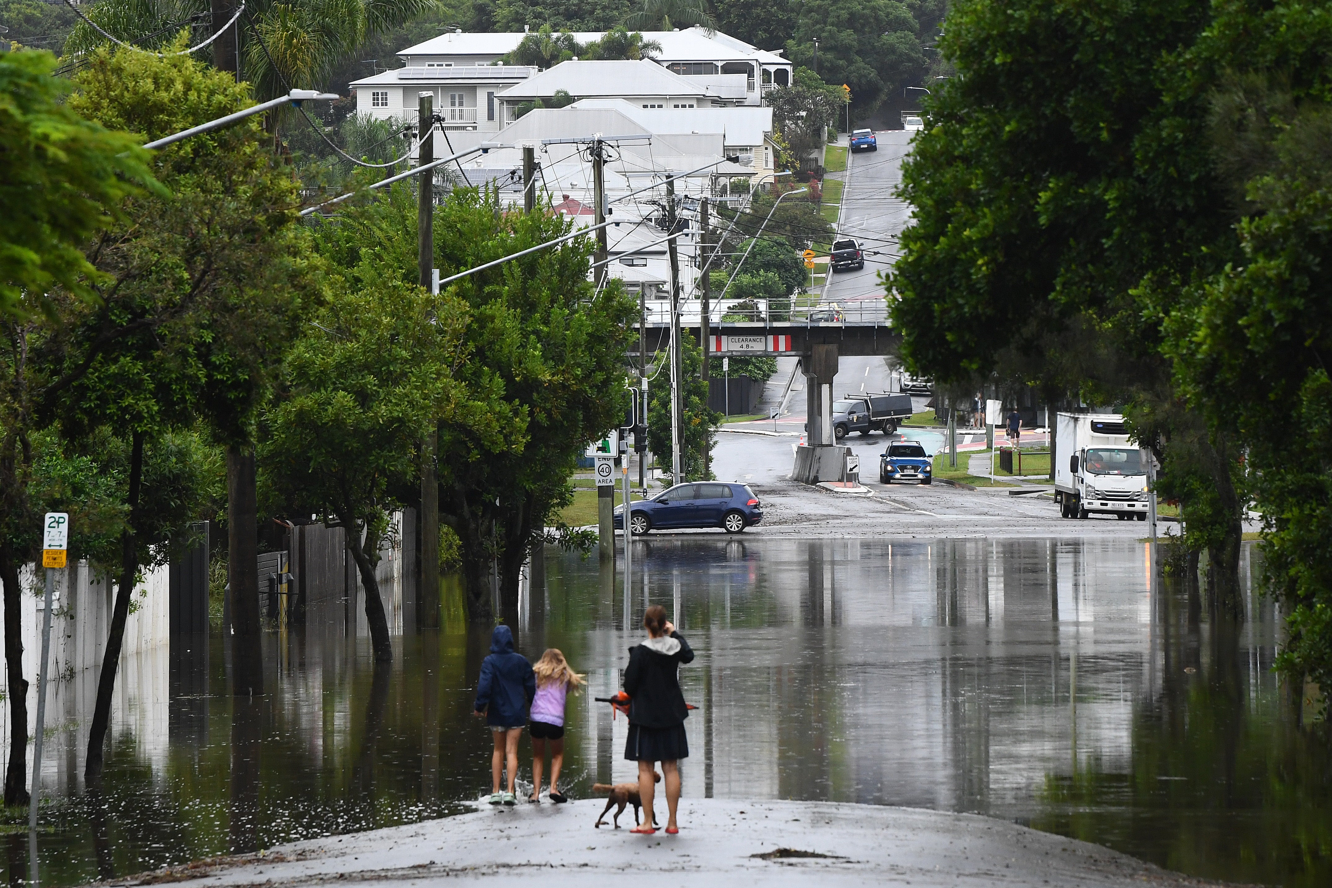 Mosquito activity has increased after Cyclone Alfred