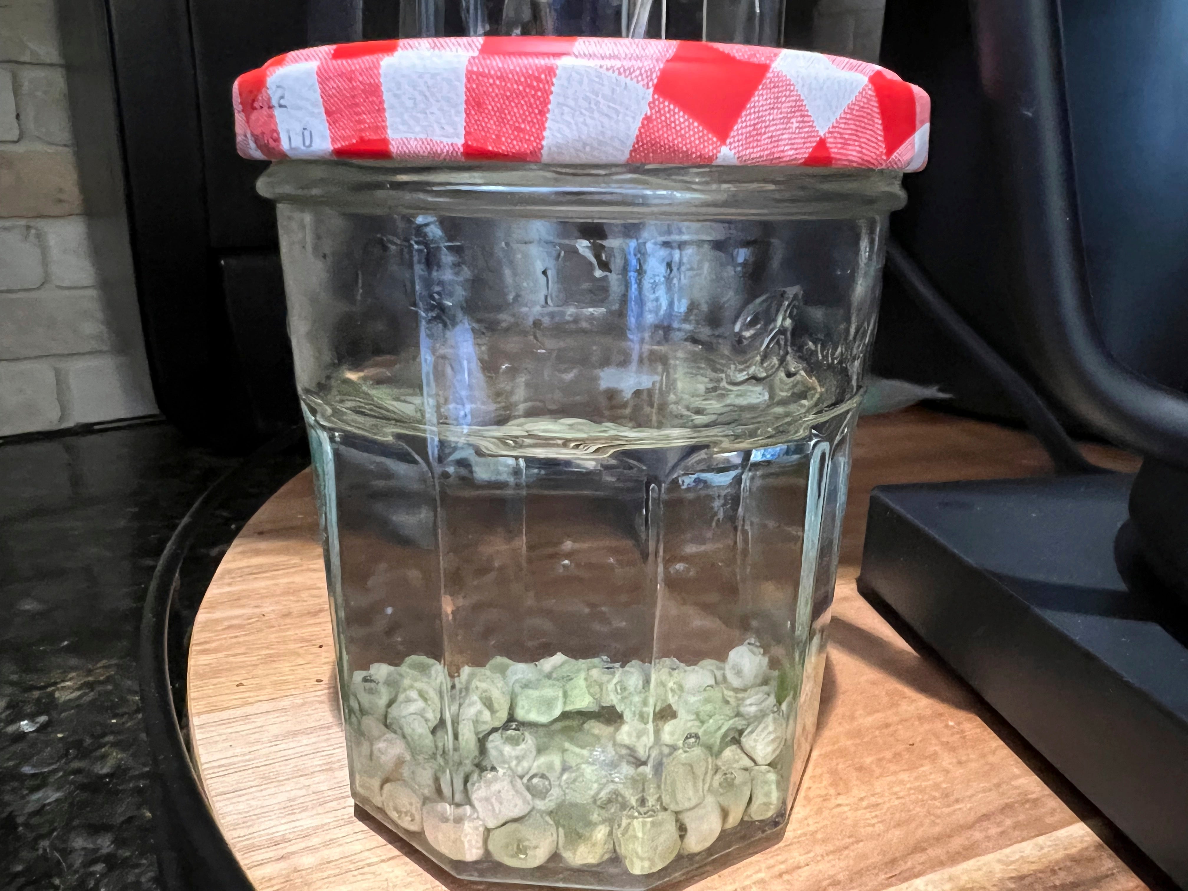 Gardening - Spring Checklist