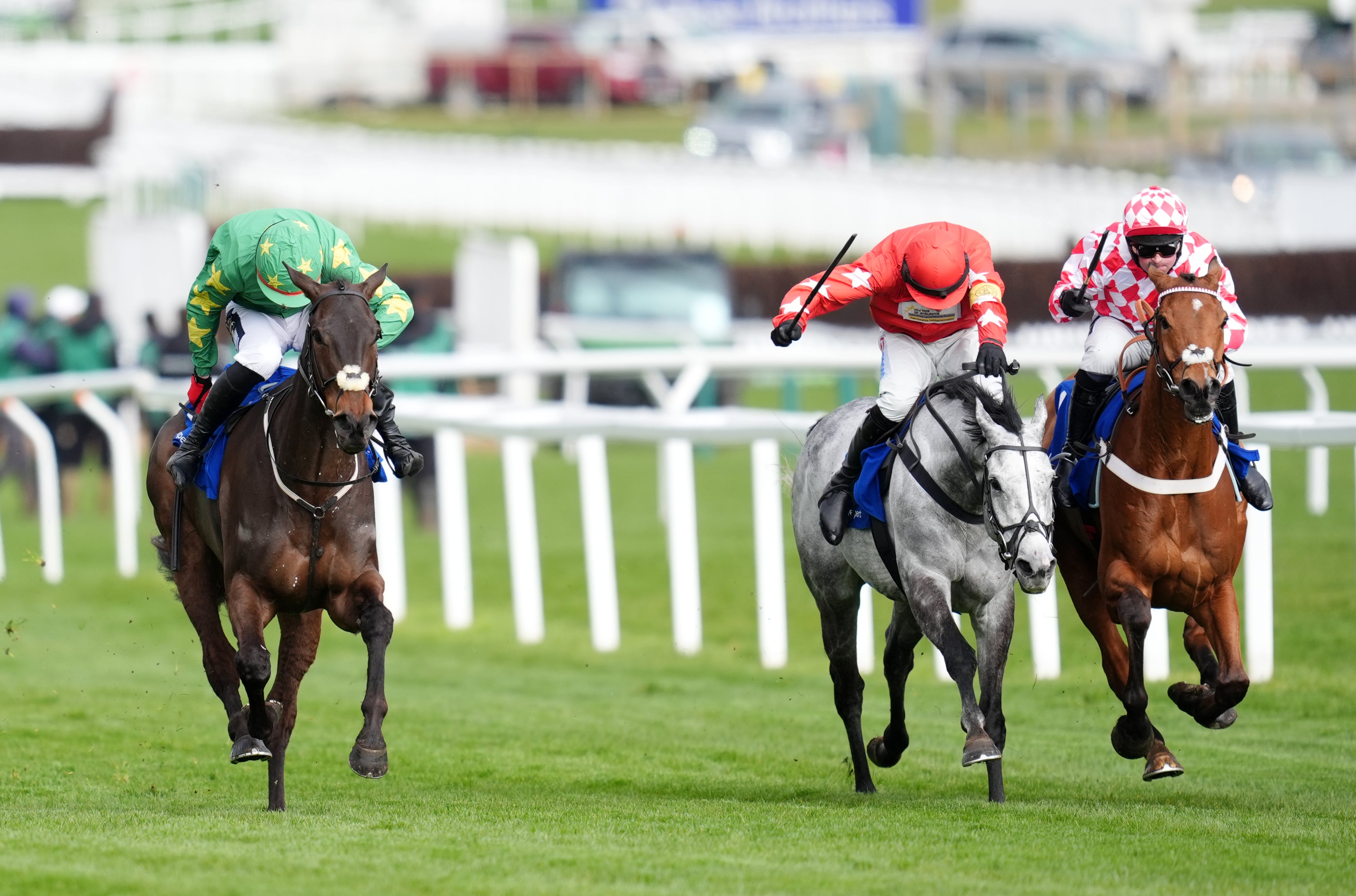 Jango Baie surprised the crowd with his victory in the Arkle Novices Chase