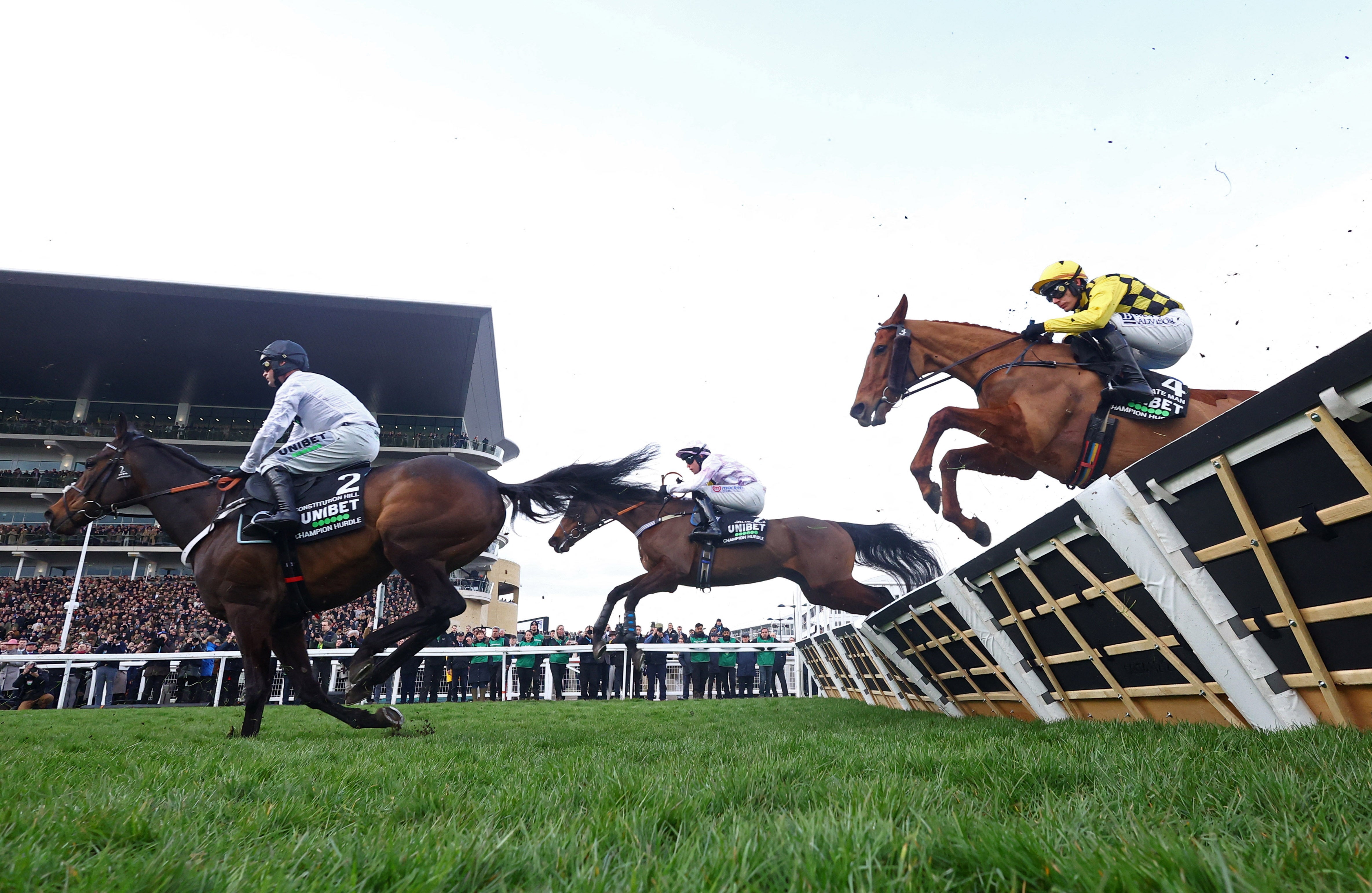 Nico de Boinville riding Constitution Hill suffers a fall