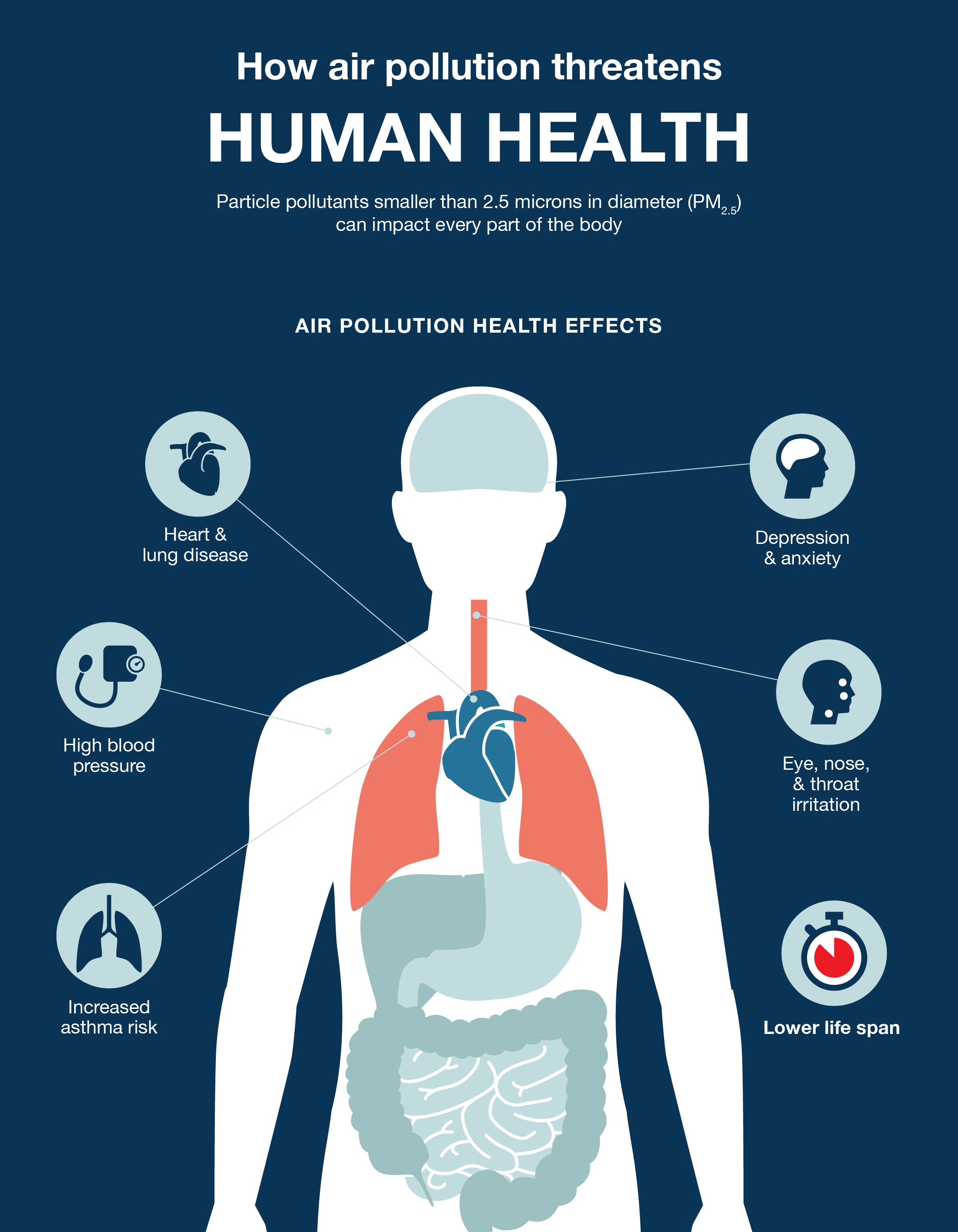 Air pollution impact on human health