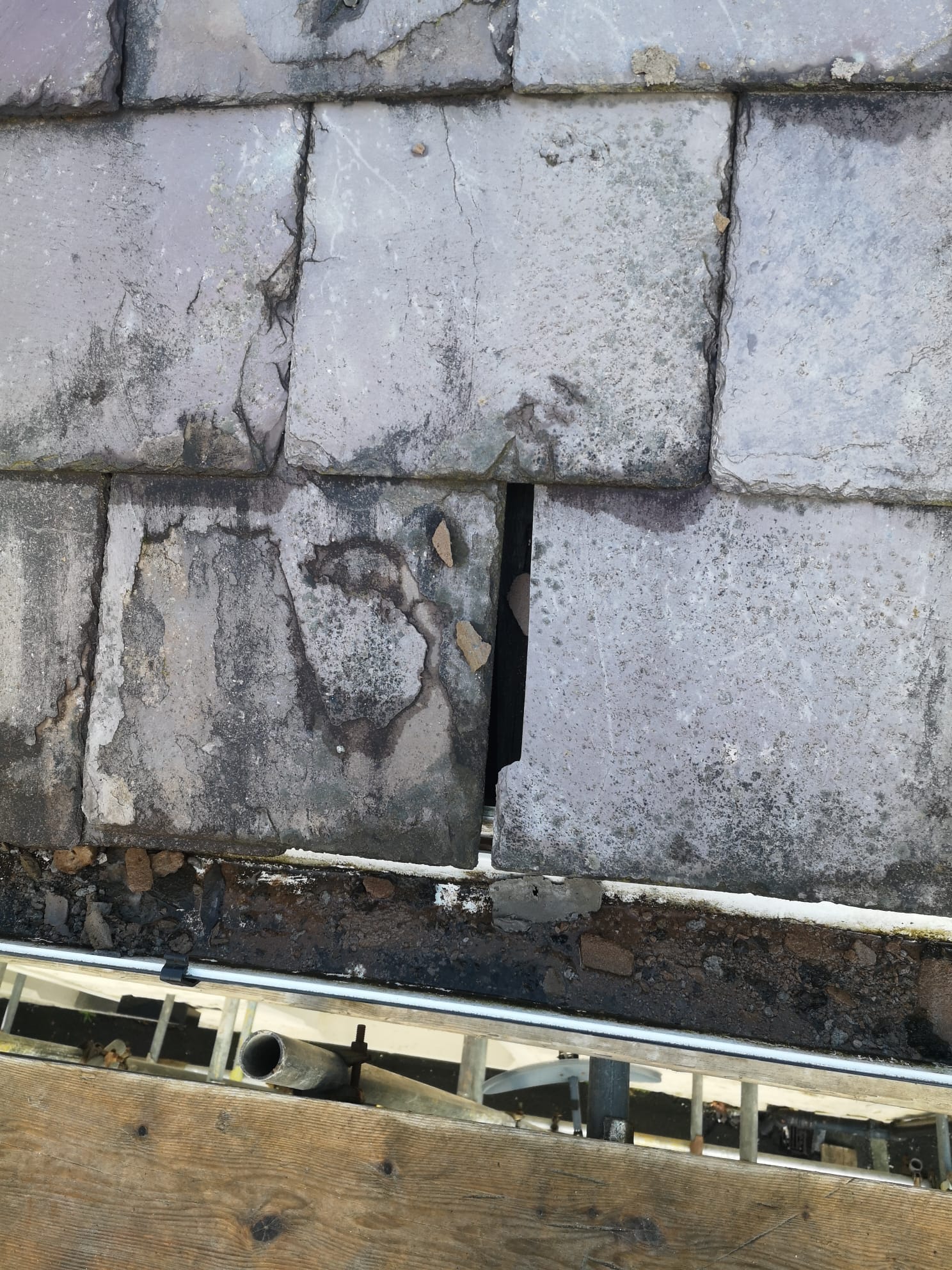 After the roof had supposedly been fixed, Joe and Michelle found more large gaps