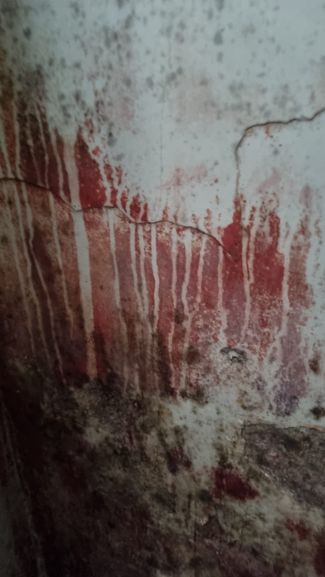 Joe and Michelle found mould and water damage in cupboards and behind furniture throughout their home