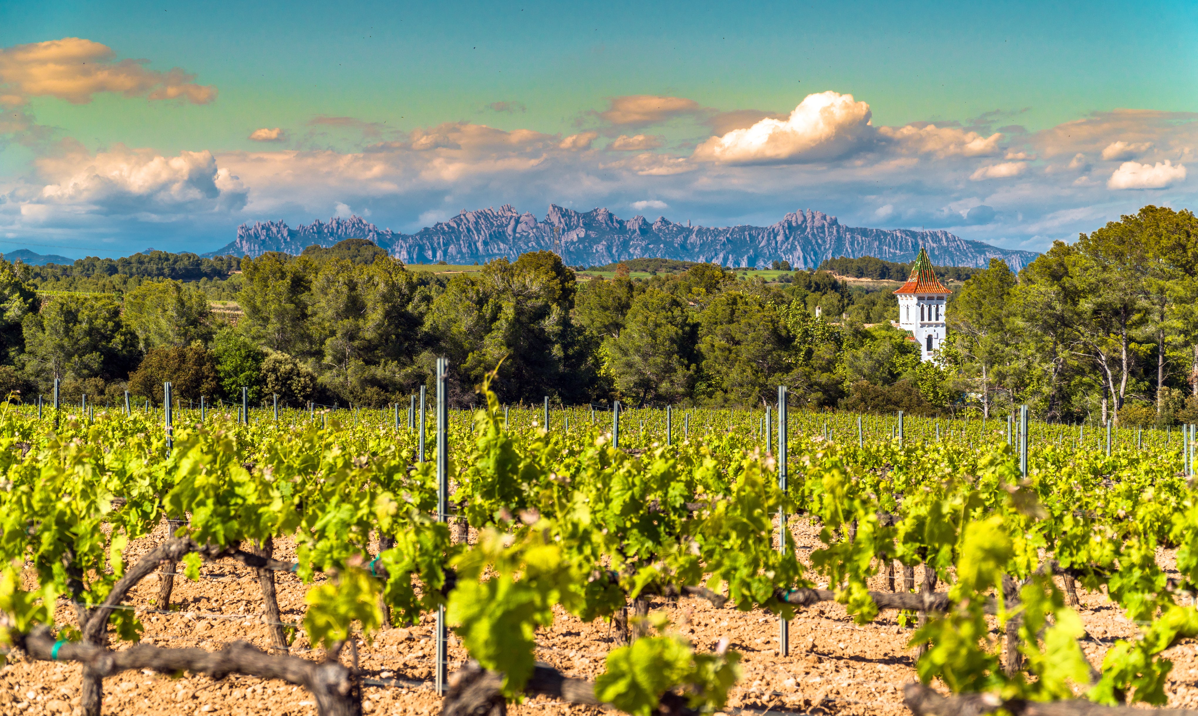 Wine aficionados will love a trip to Penedes for some of Spain’s best sparkling wine