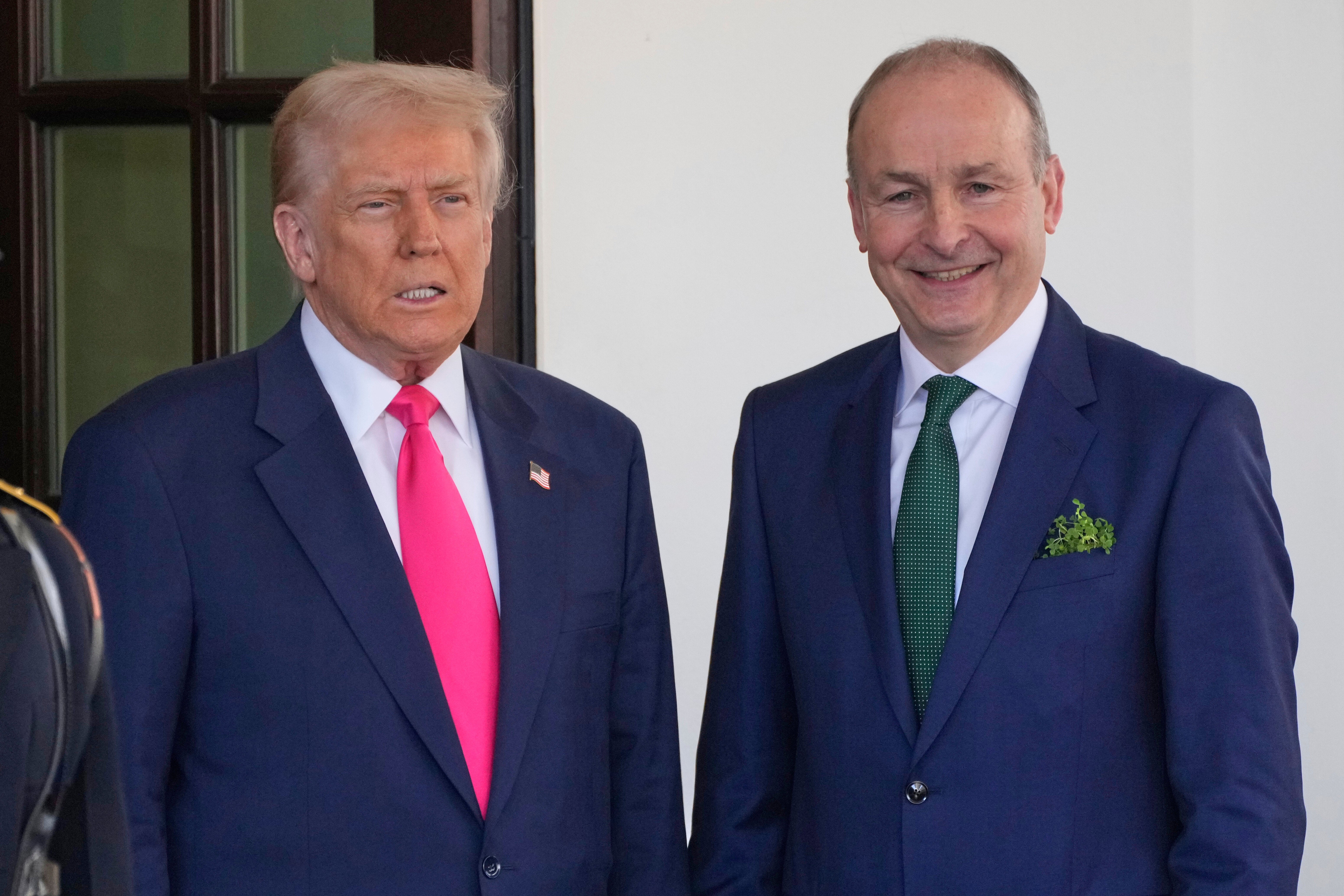 Irish Taoiseach Micheál Martin (right) later shot back that McGregor’s claims were ‘wrong’ and did not reflect the views of the Irish people