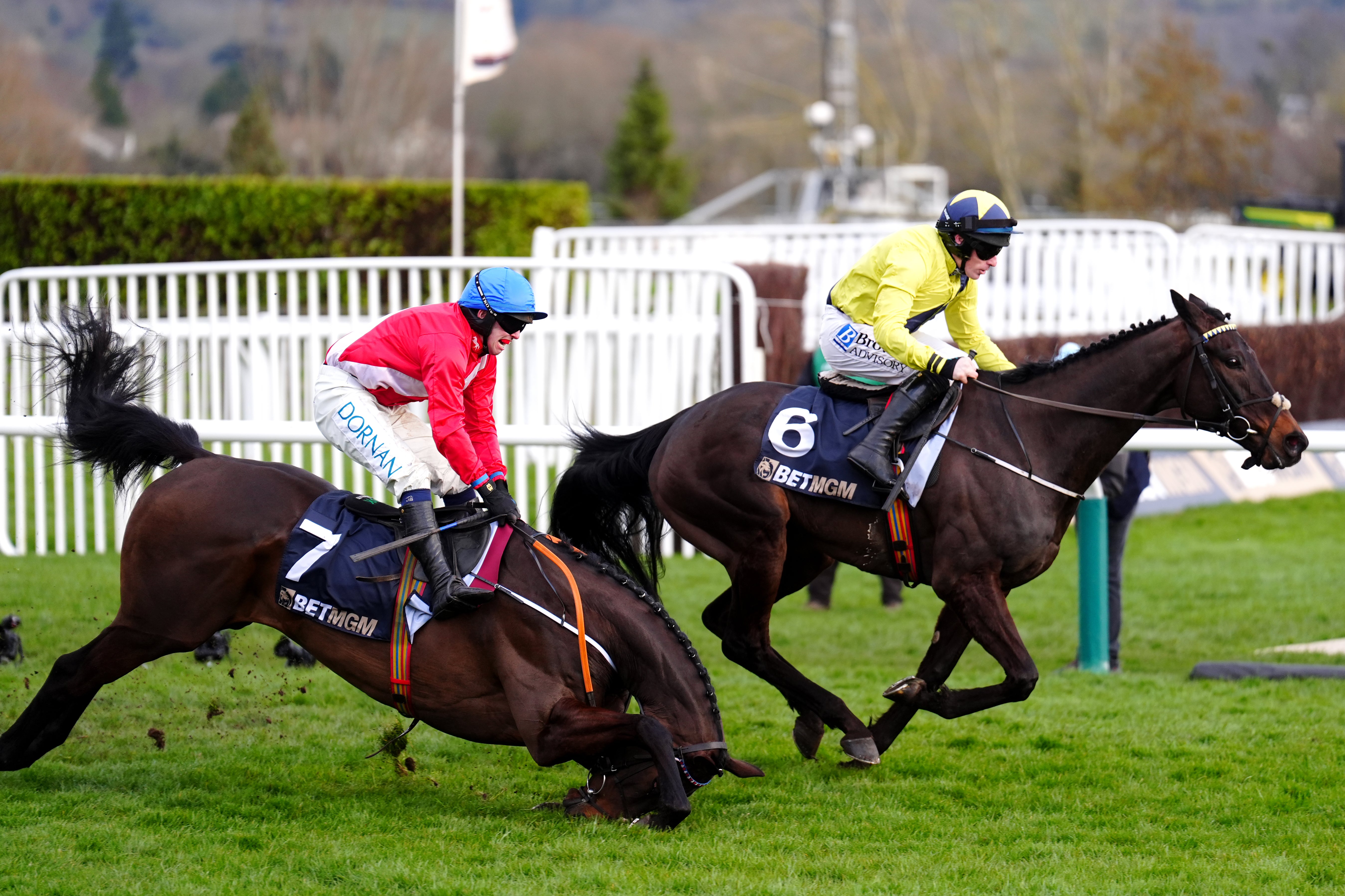 Marine Nationale cleared the last fence as Quilixios fell