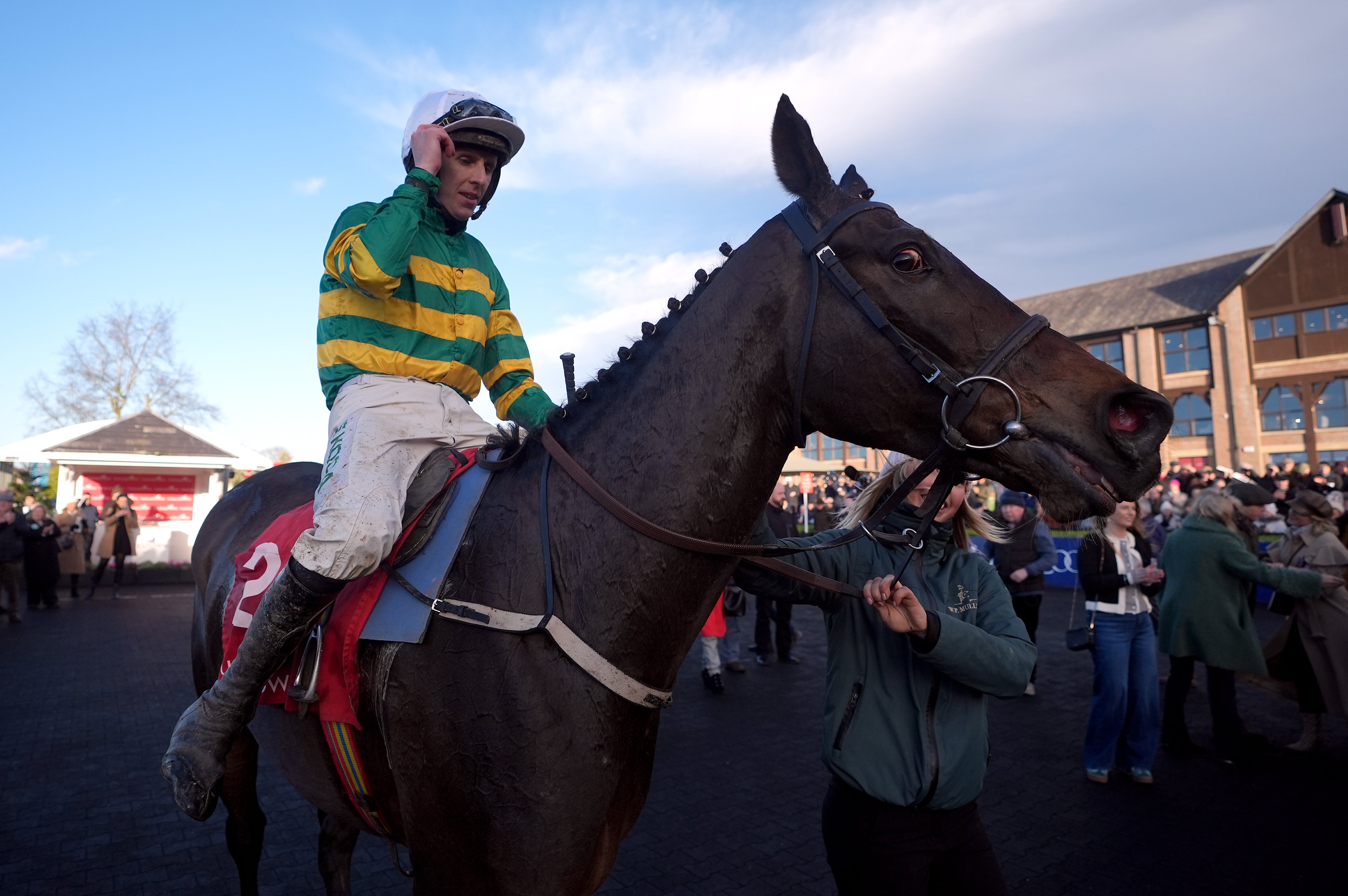 Fact To File is the favourite to win the Ryanair Chase