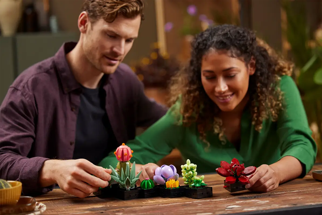 <p>Every Lego fan needs to know about  these shopping tips and ways to save </p>