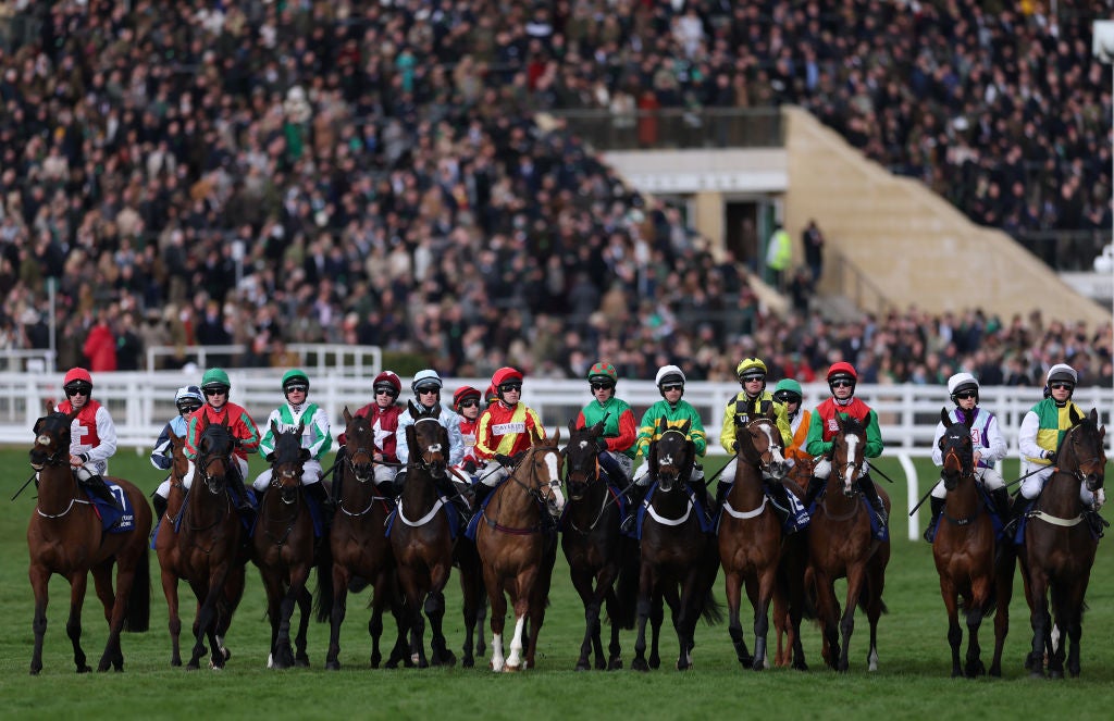 How racehorses might hold the key to saving thousands of human lives