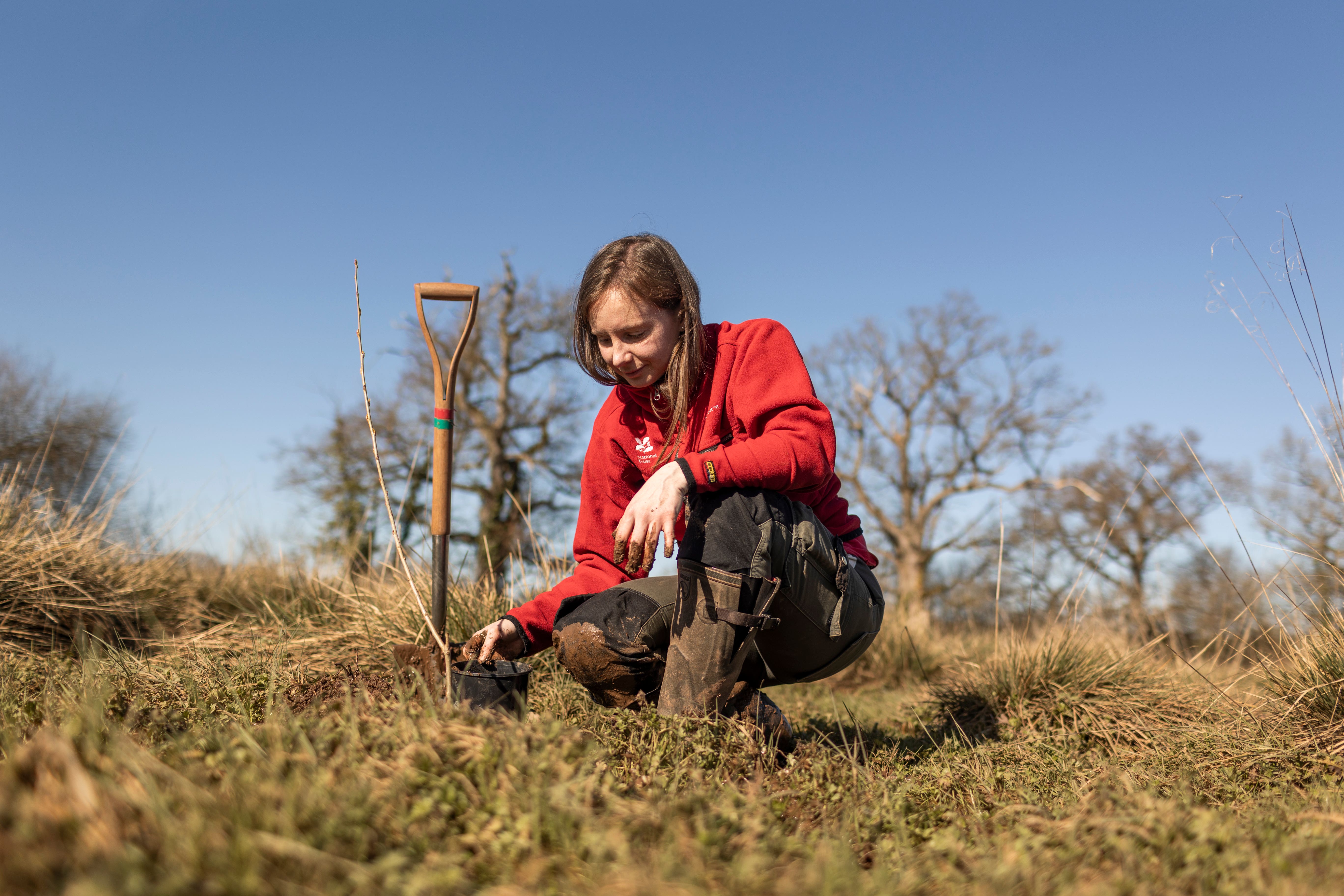 National Trust ranger Fi Hailstone plants black poplar trees at Killerton, Devon (National Trust/James Beck/PA)
