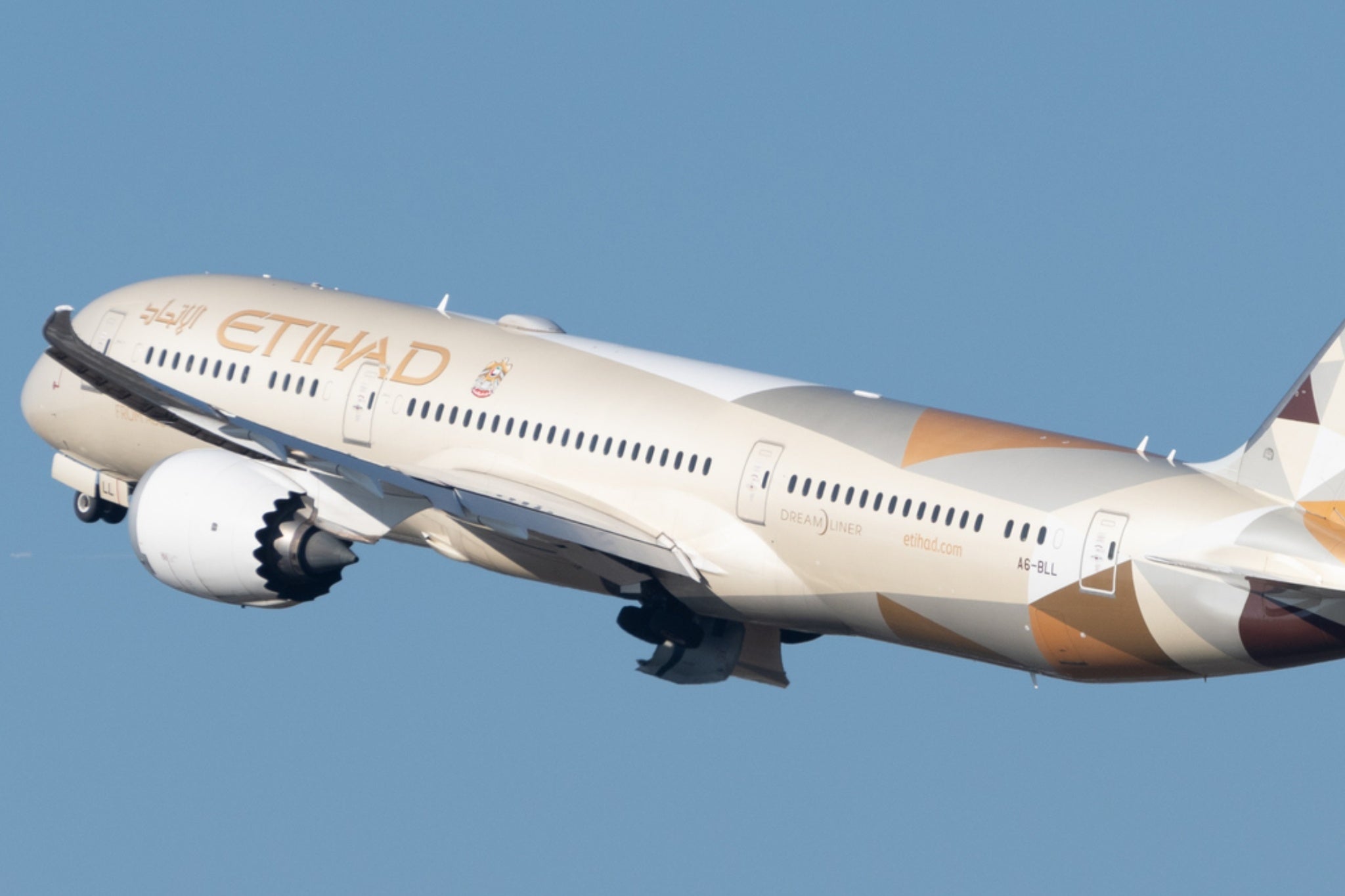 Etihad Airways passenger vomited 30 times after eating a ‘tomato, cheesy, chicken pasta’ on the plane