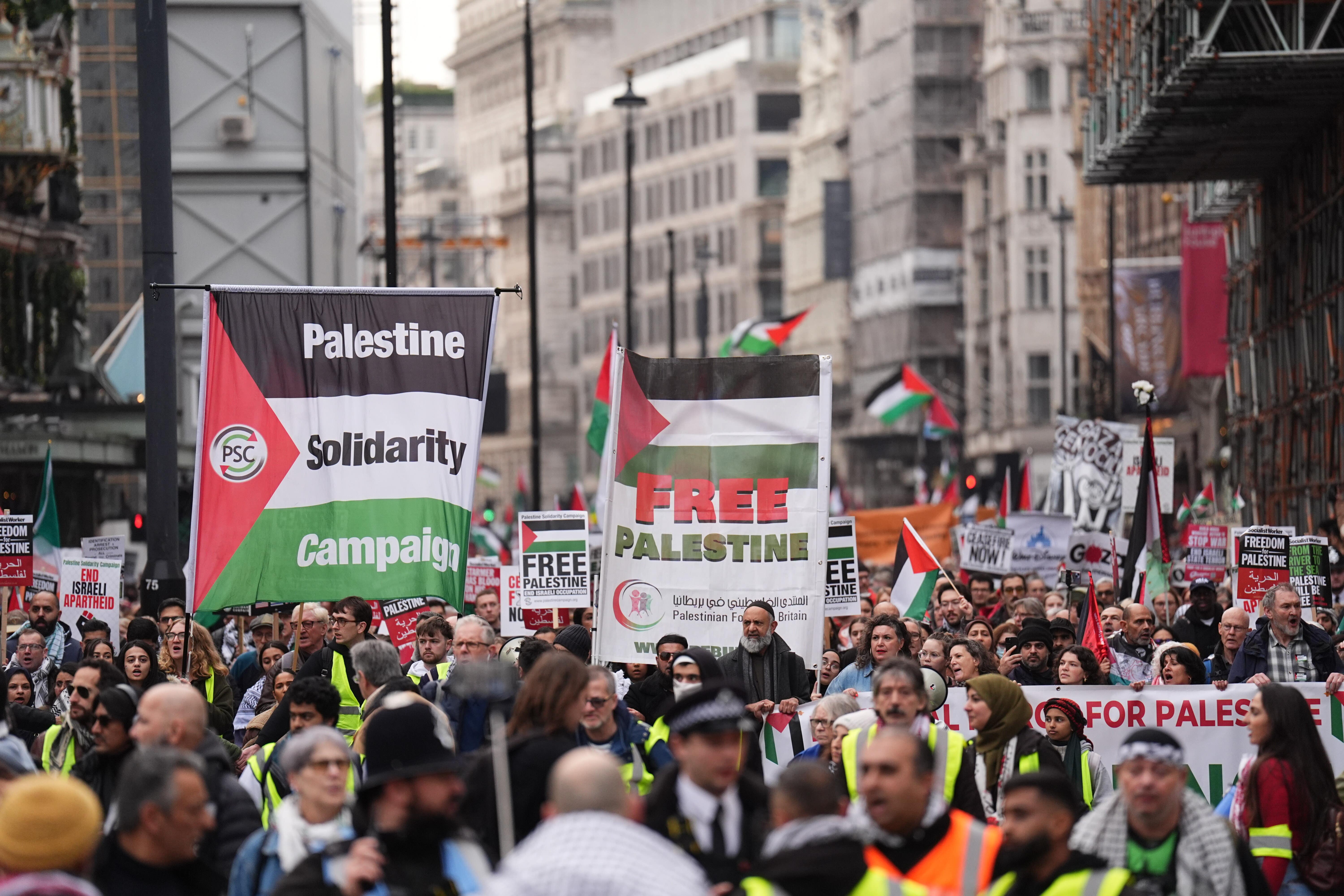 A pro-Palestine protest is one of several demonstrations due to take place in London on Saturday (James Manning/PA)
