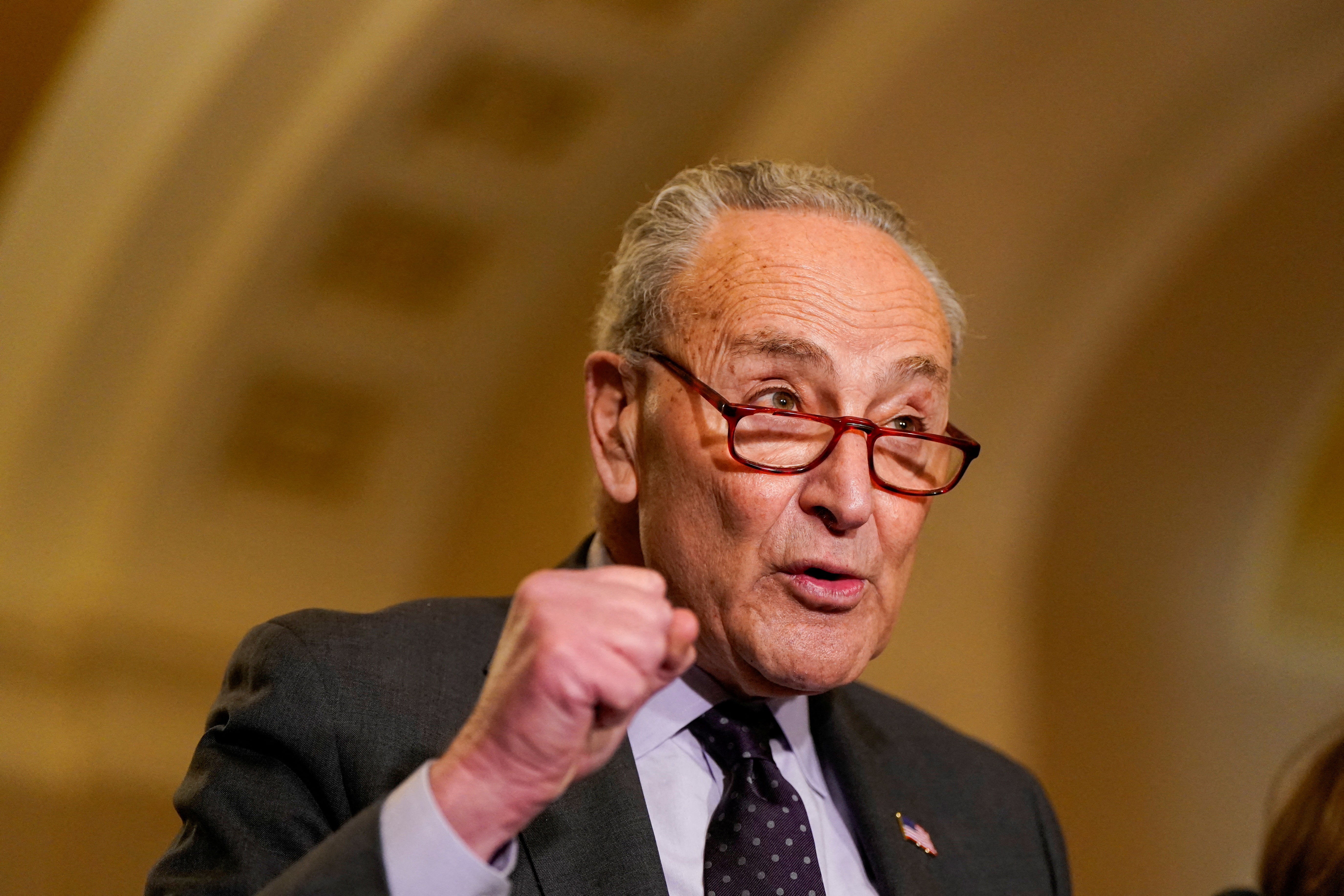 Chuck Schumer, leader of the Senate Democratic caucus, faced a revolt from his party