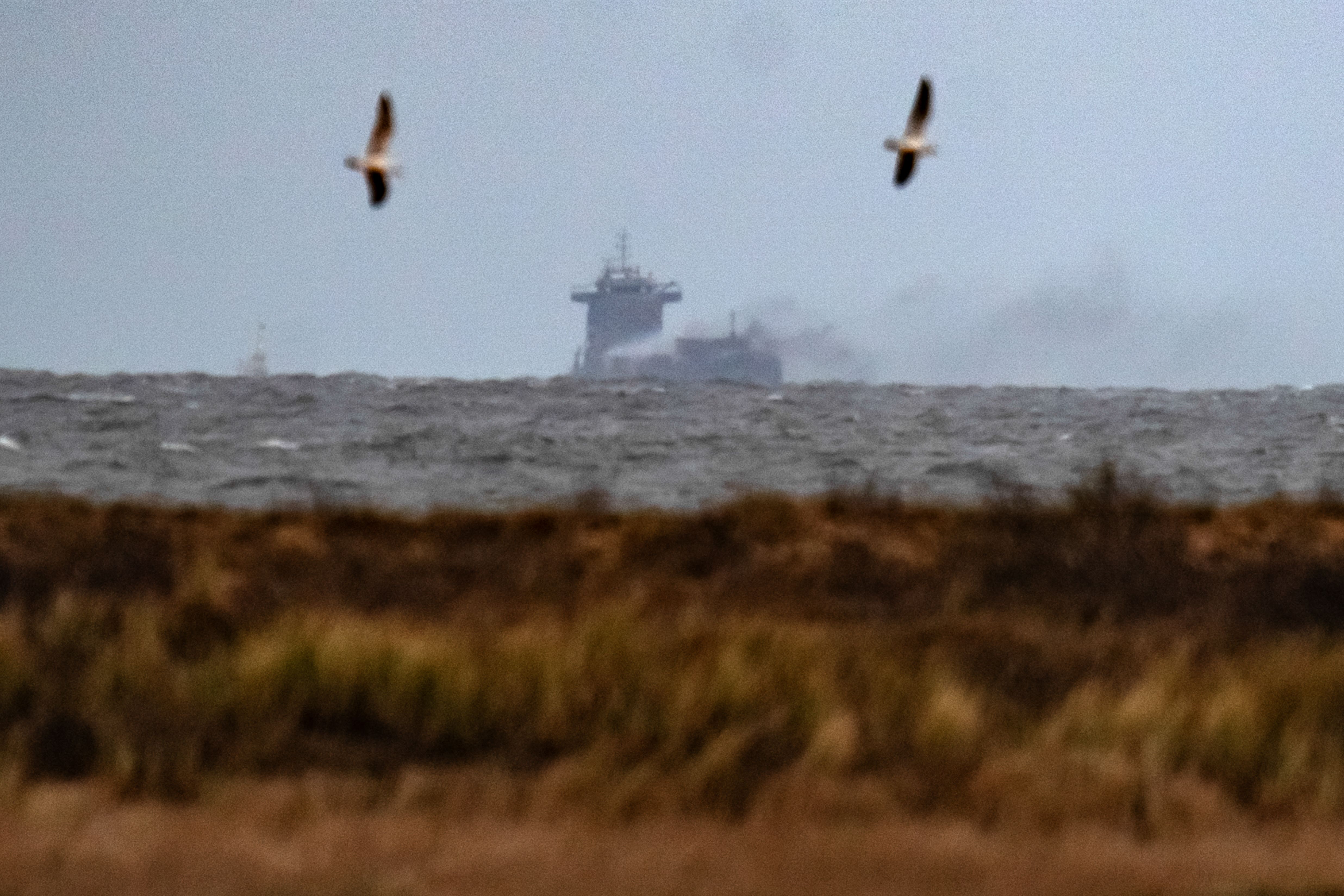 The Solong container ship (Danny Lawson/PA)