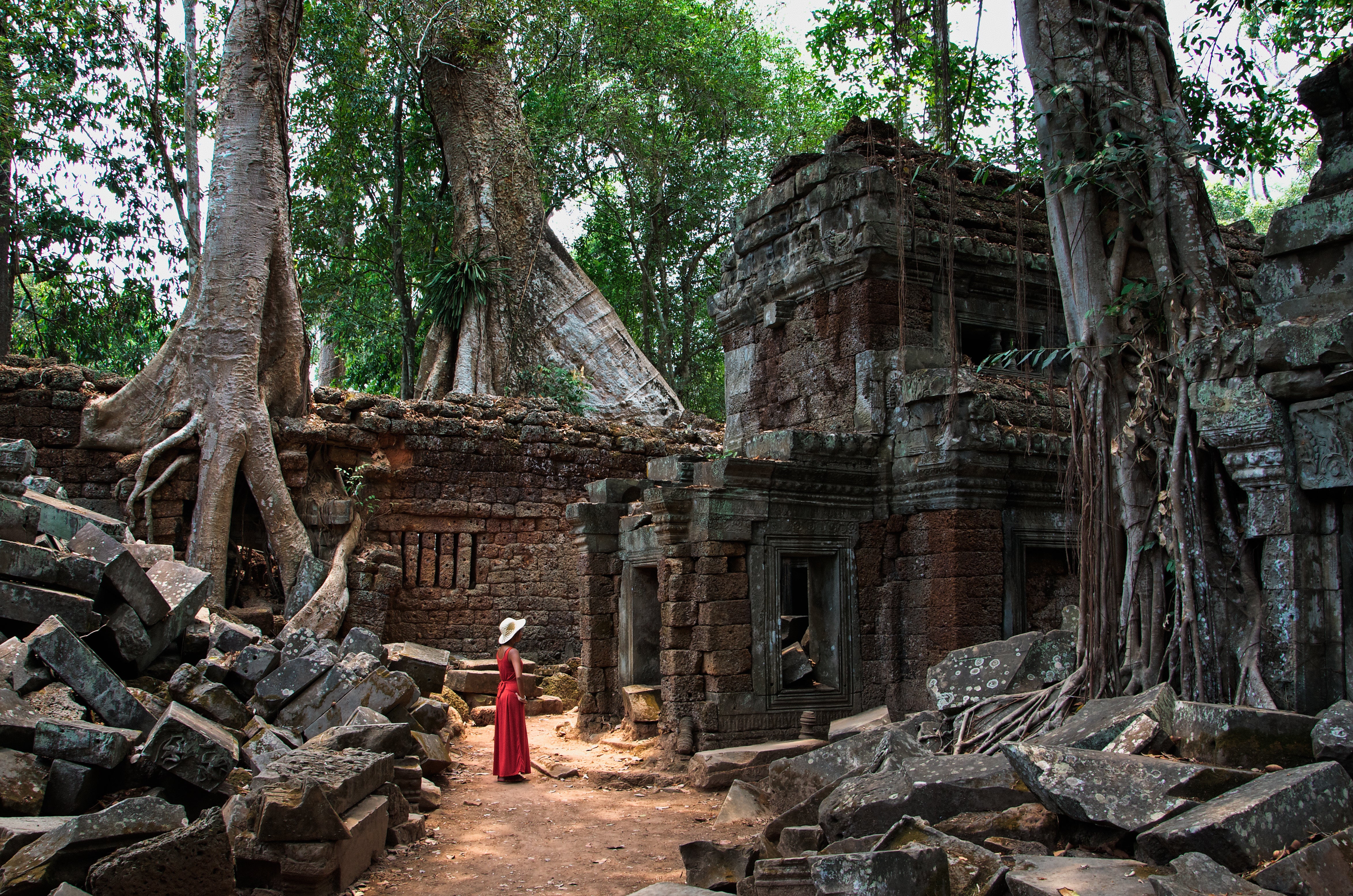 Ta Prohm temple at Angkor Wat, Cambodia