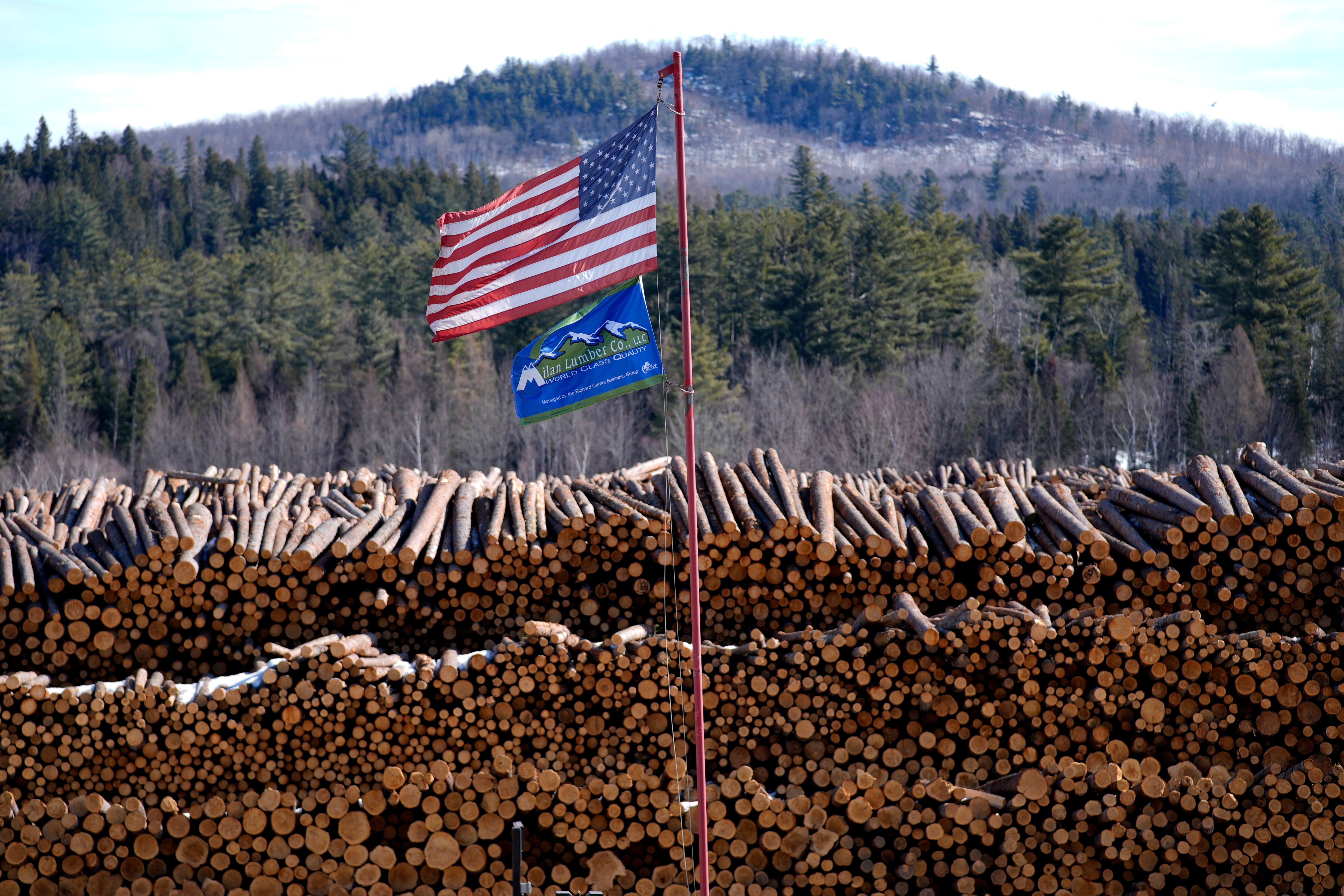 Trump Tariffs Lumber