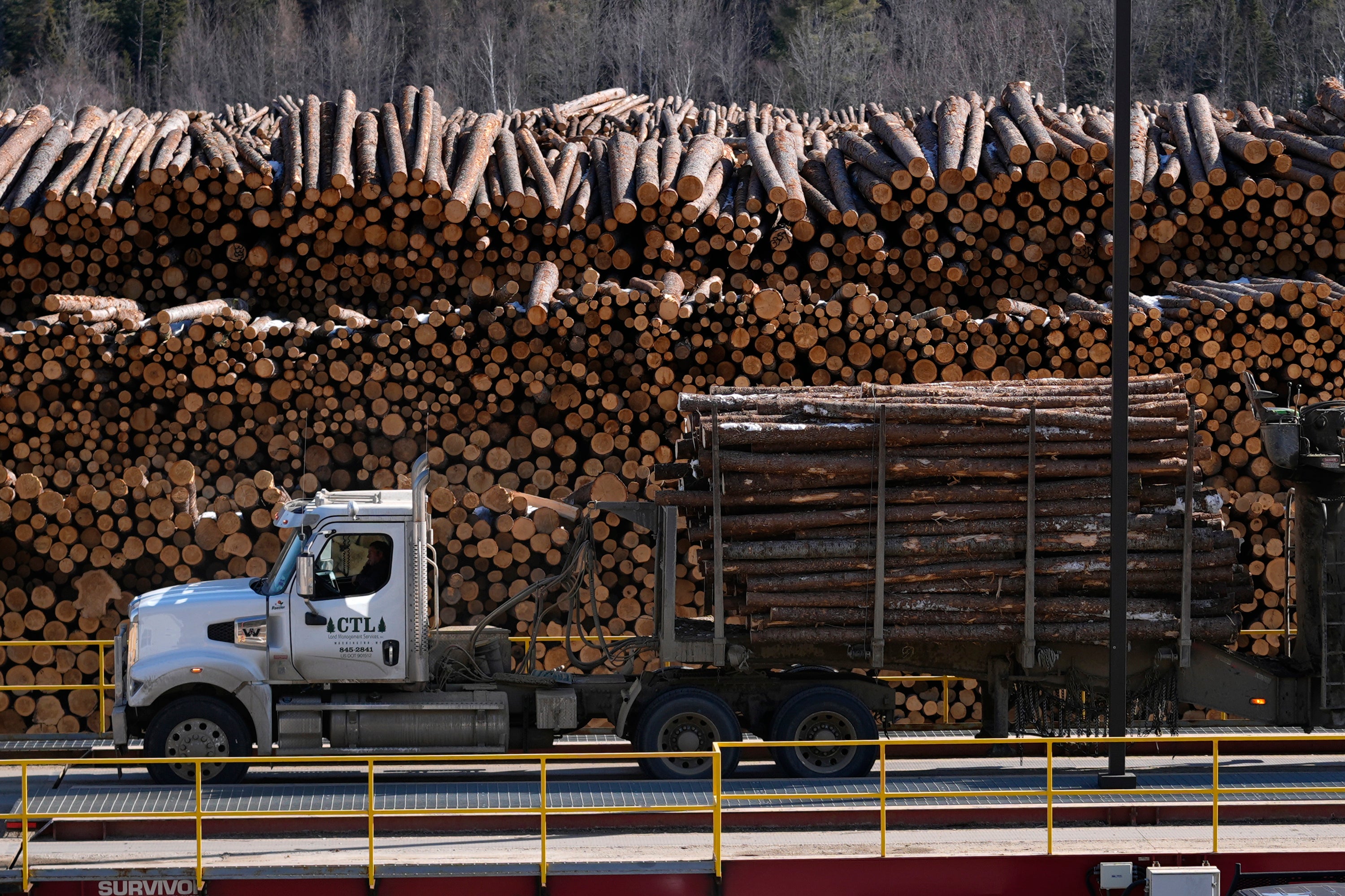Trump Tariffs Lumber