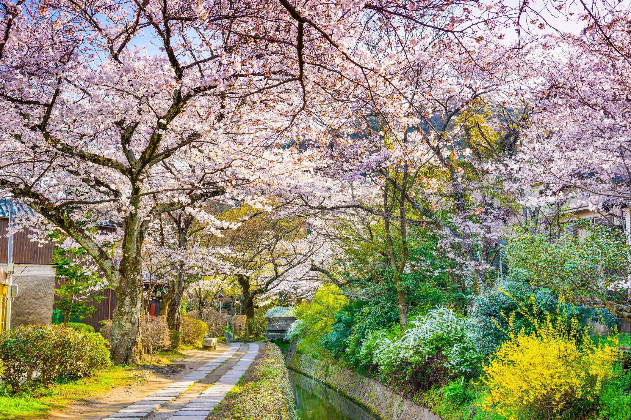Philosopher's Path in Kyoto