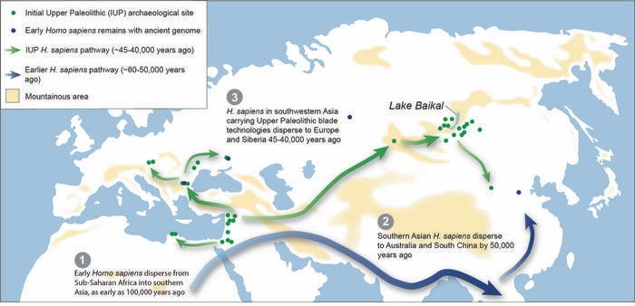 Map showing theorised migration routes of early Homo sapiens from Africa
