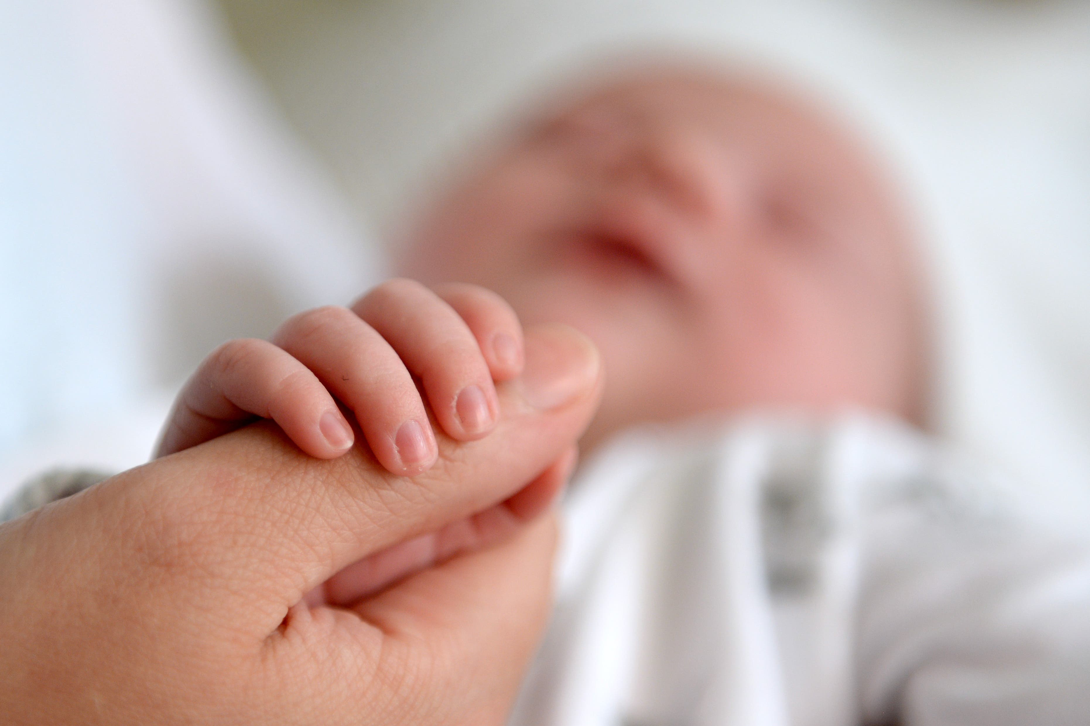Newborn babies exhibit many of the signs of pain