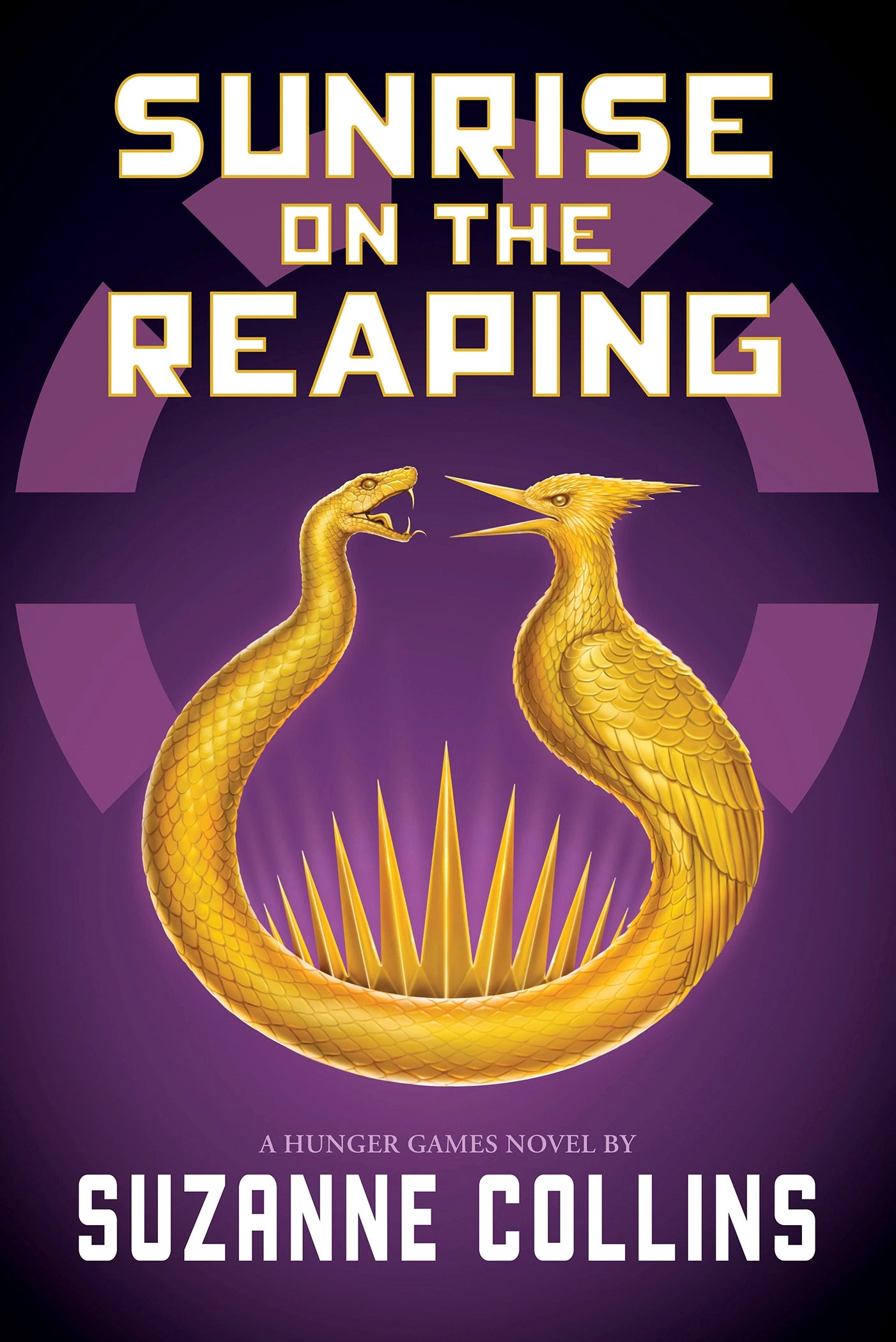 Books-Hunger Games V