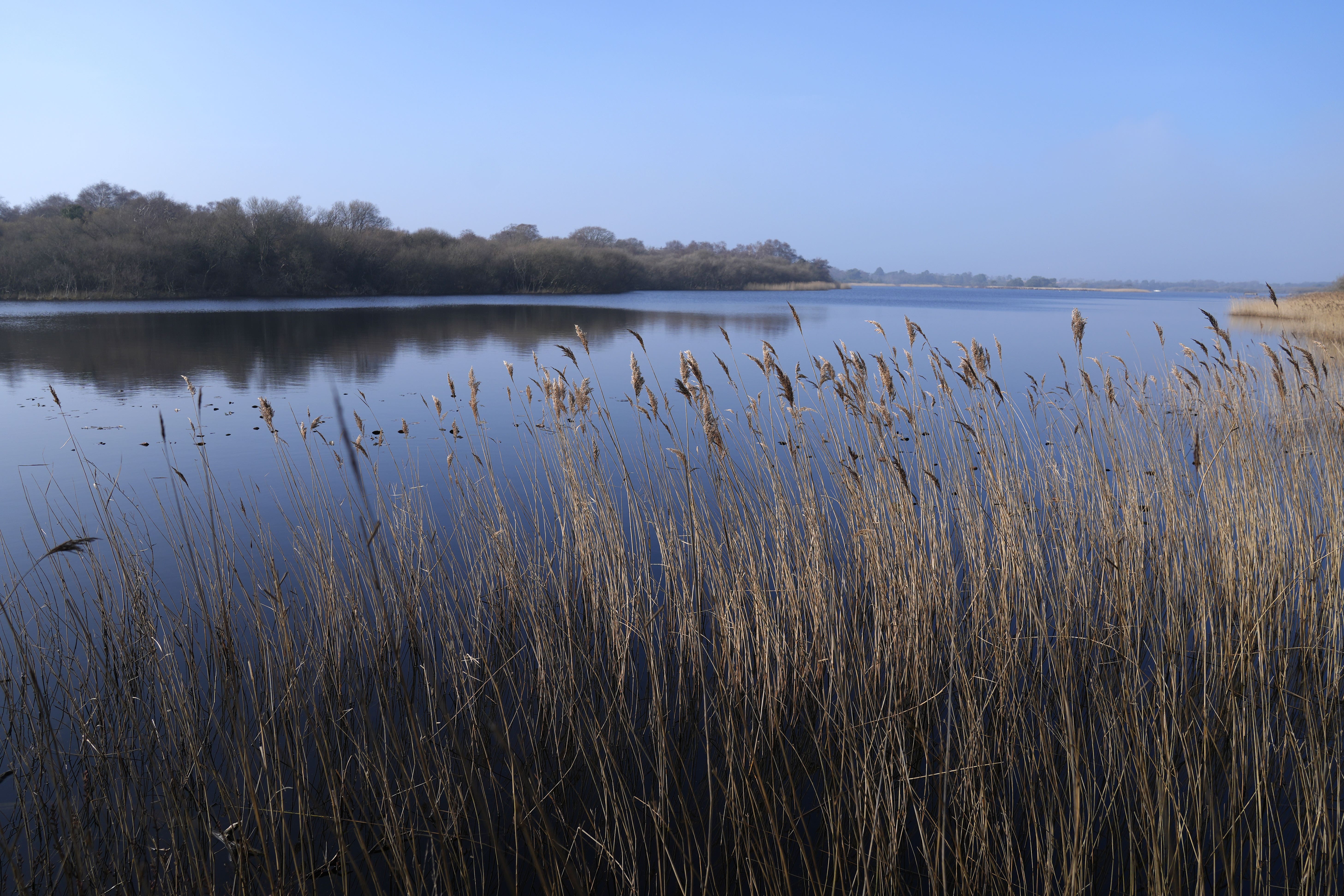 Green Alliance is calling on ministers to set a timeline for mandatory nature reporting by companies (Andrew Matthews/PA)