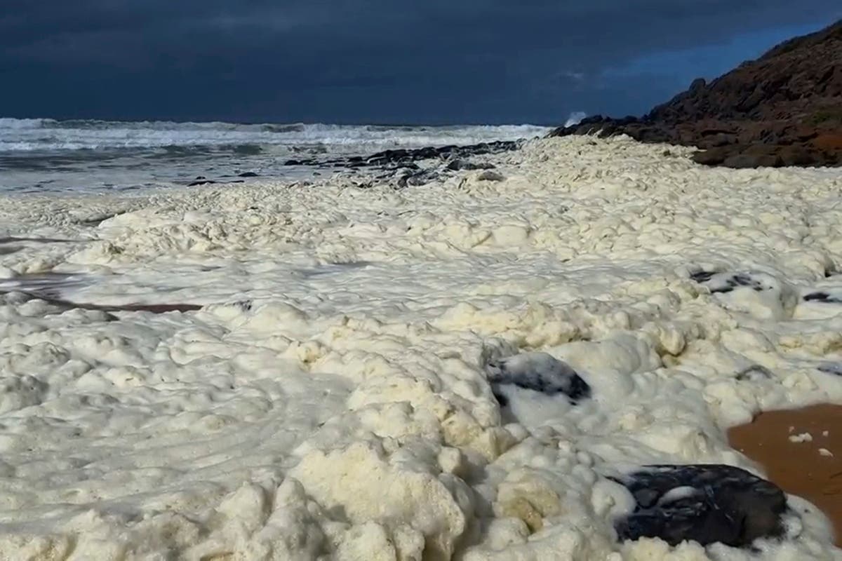 A weird mass of sea foam has coated beaches – should we be worried?