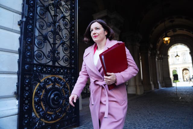 <p>Education Secretary Bridget Phillipson (James Manning/PA)</p>