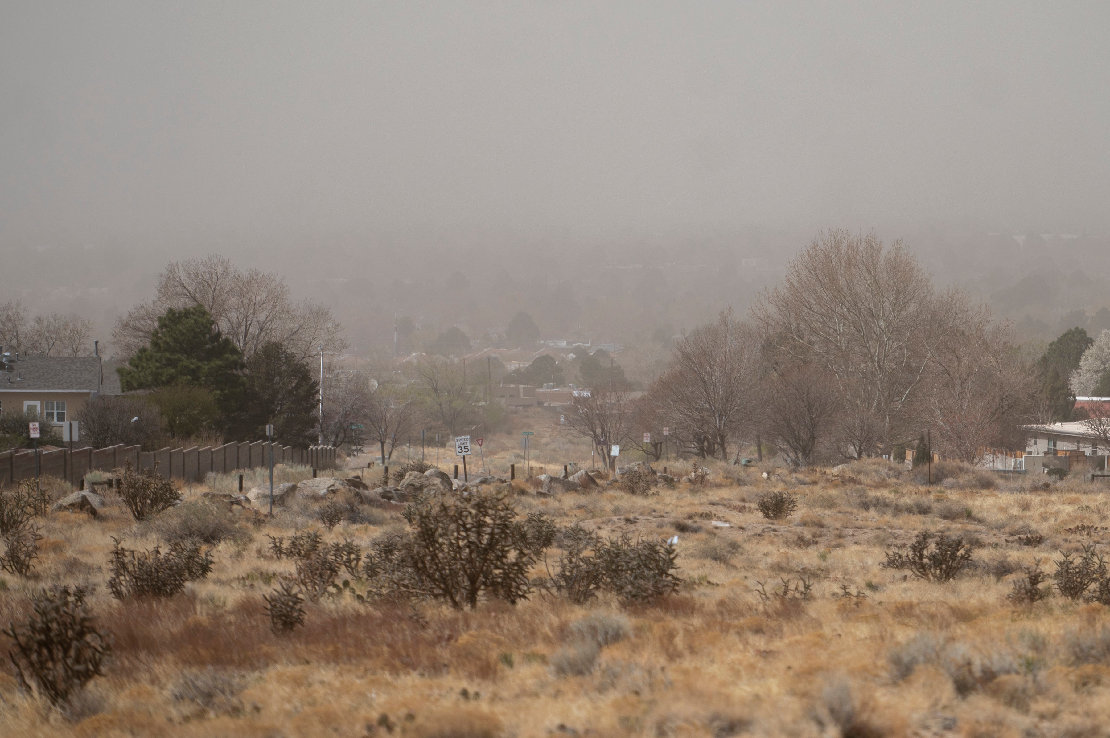 New Mexico Dust Storms