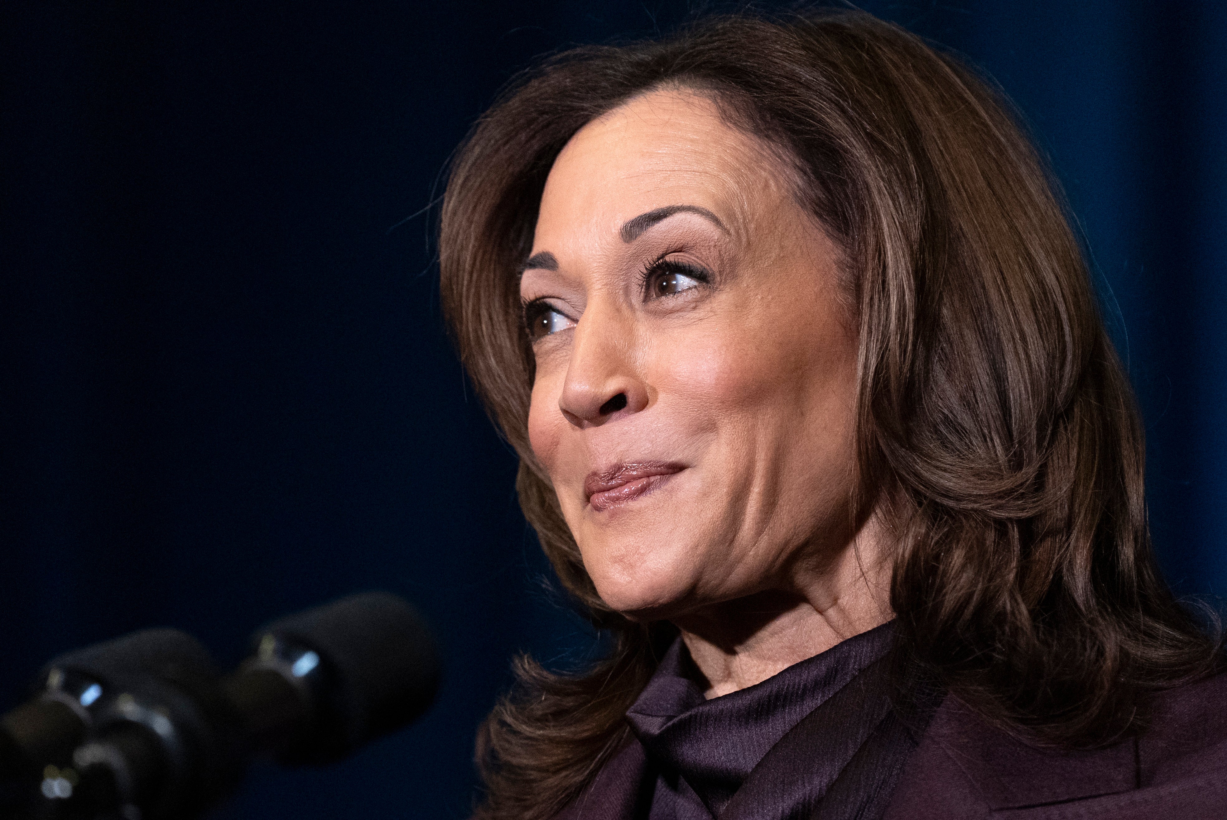 The promotion of Kamala Harris as the Democratic presidential candidate, may also have had some bearing, the project’s findings suggested