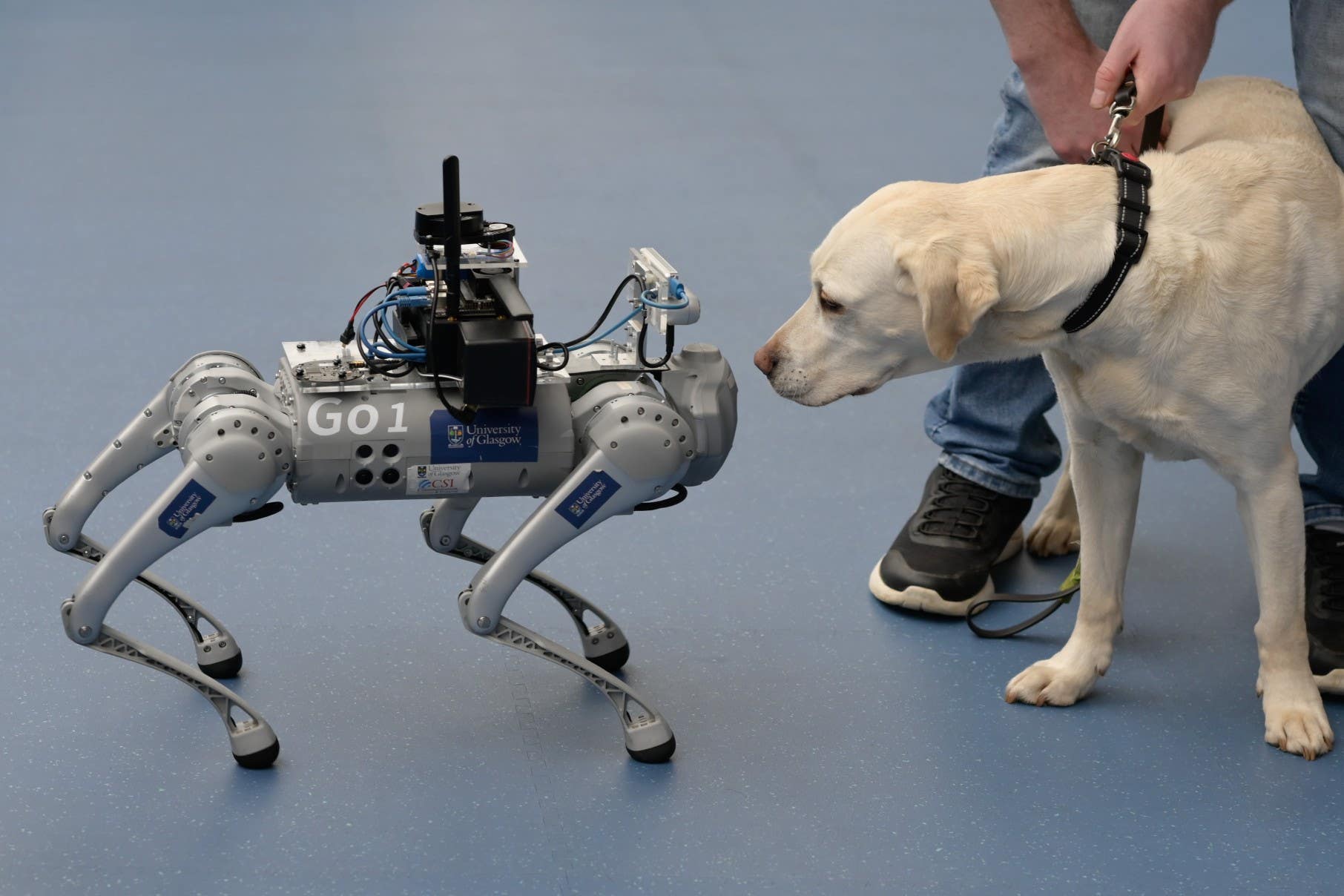 Robbie the RoboGuide meets a guide dog (Julie Howden/RNIB Scotland/PA)