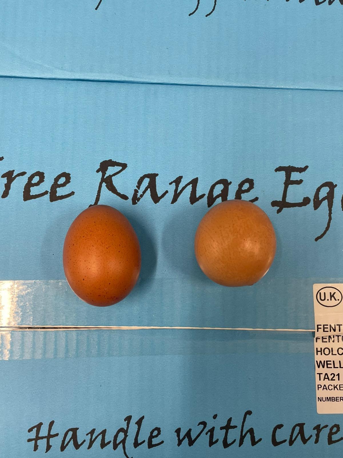 A round egg has been sold at auction for £420