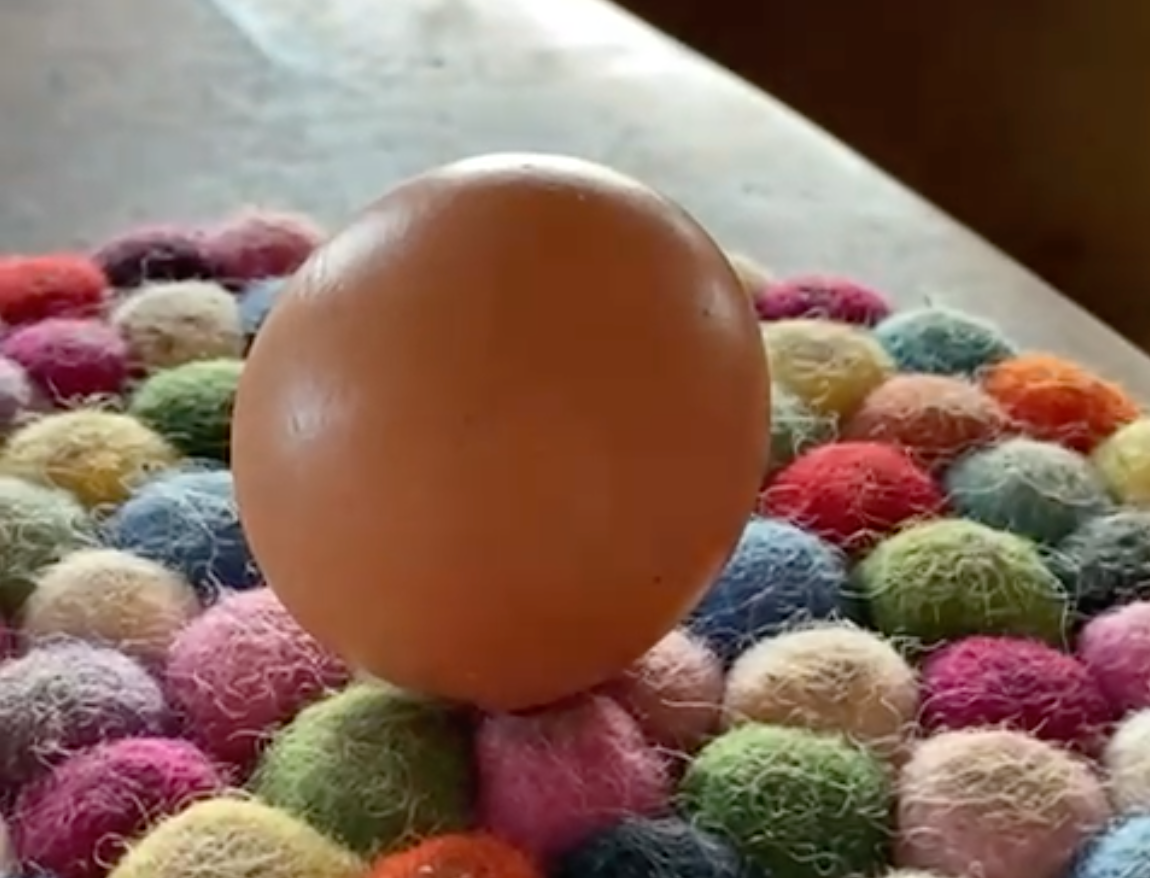 The round egg was discovered in late December