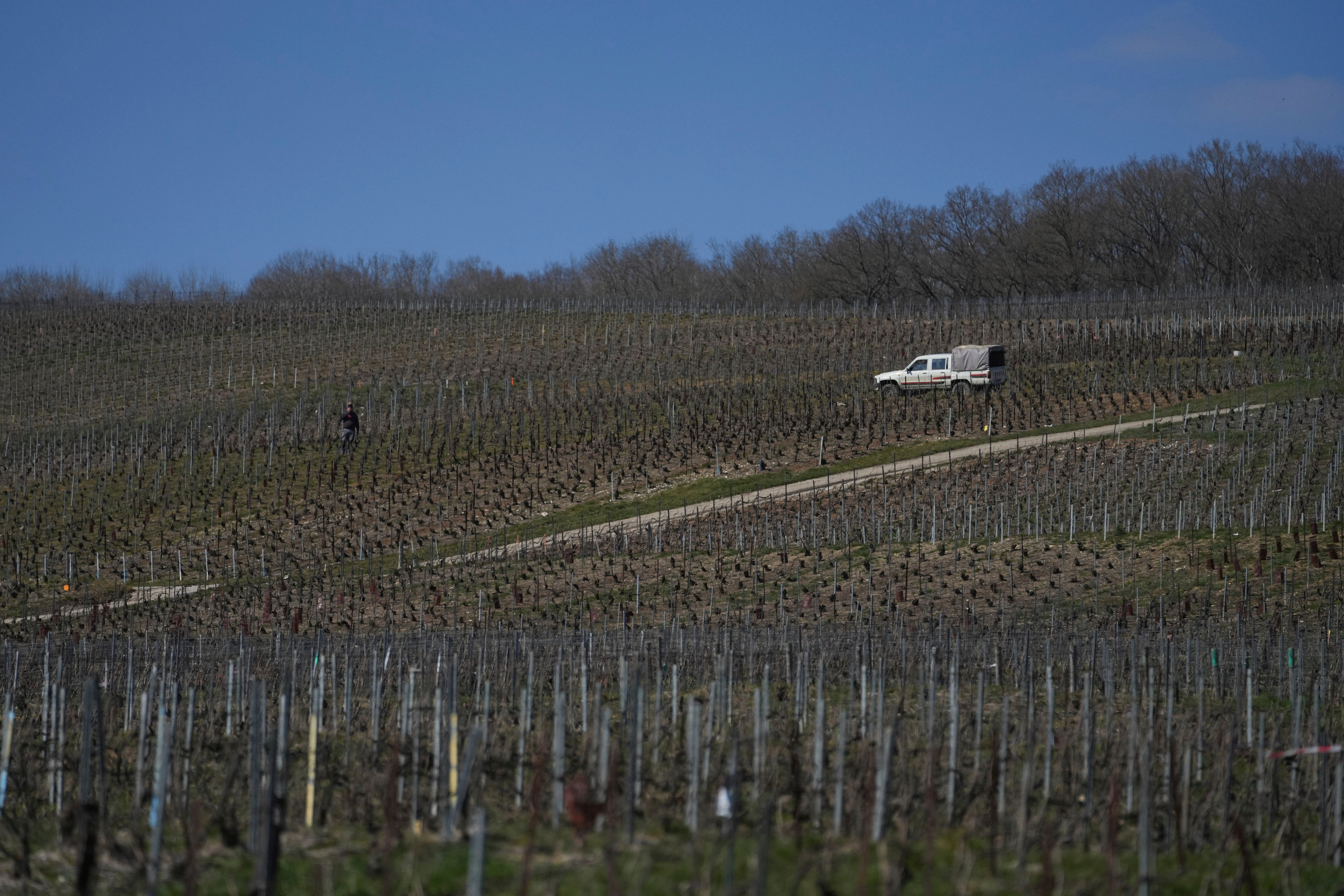 France US Trump Tariffs