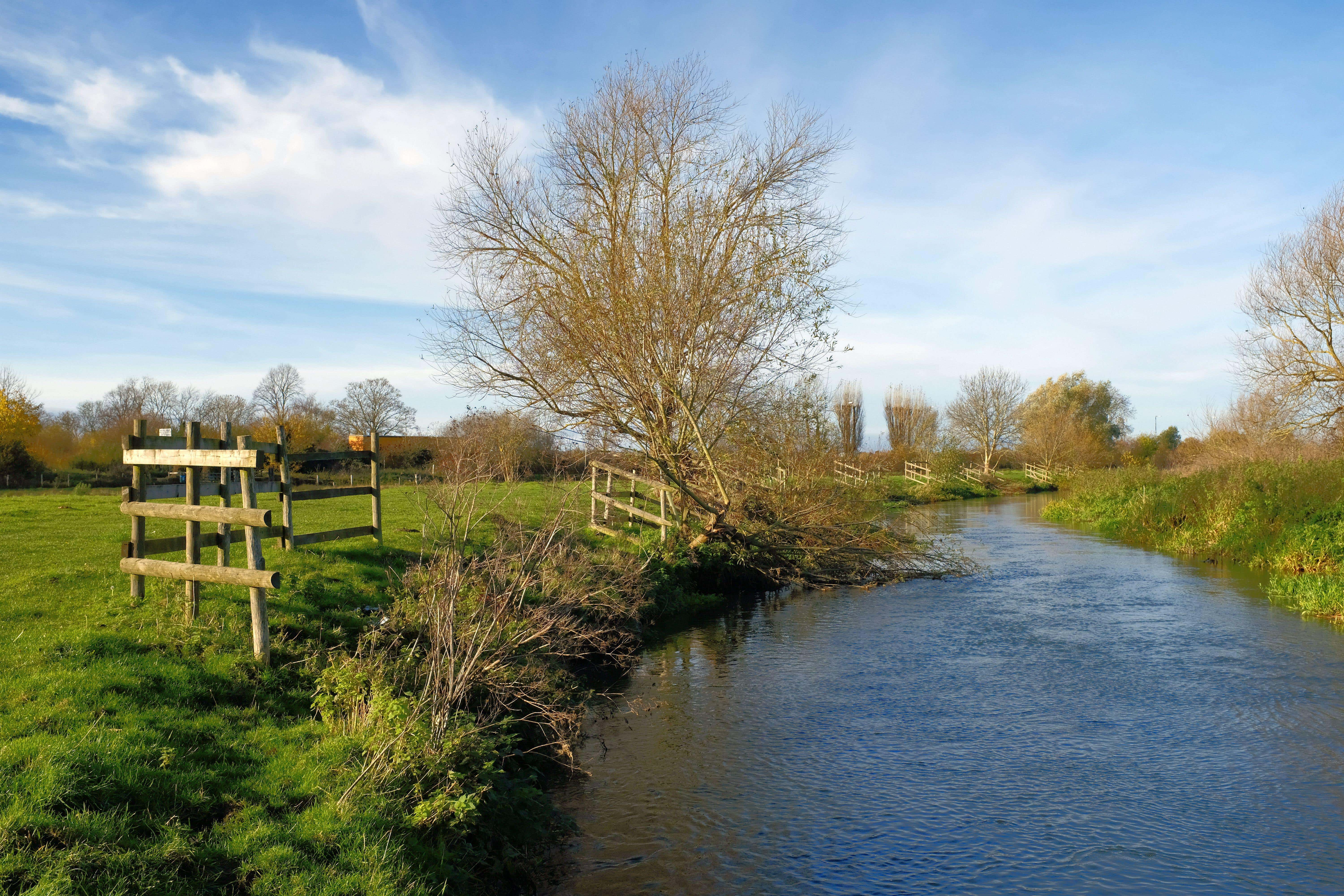 Watchdog investigates government over water quality laws (Alamy/PA)