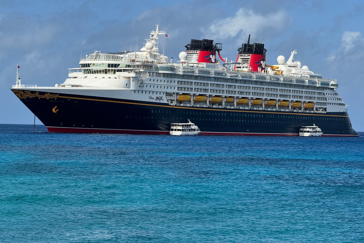 ICE agents storm Disney cruise docked in California and arrest multiple staff in front of passengers: reports