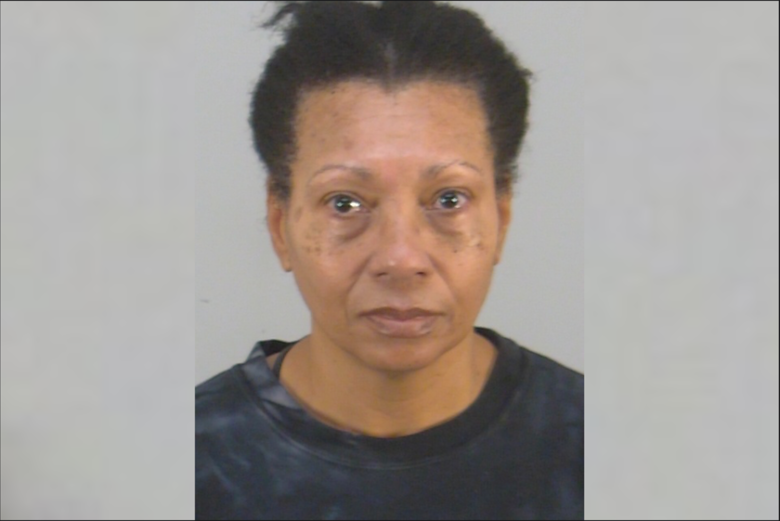 Alison Agatha Lawrence, 57, was accused of drowning her dog in a restroom at Orlando International Airport