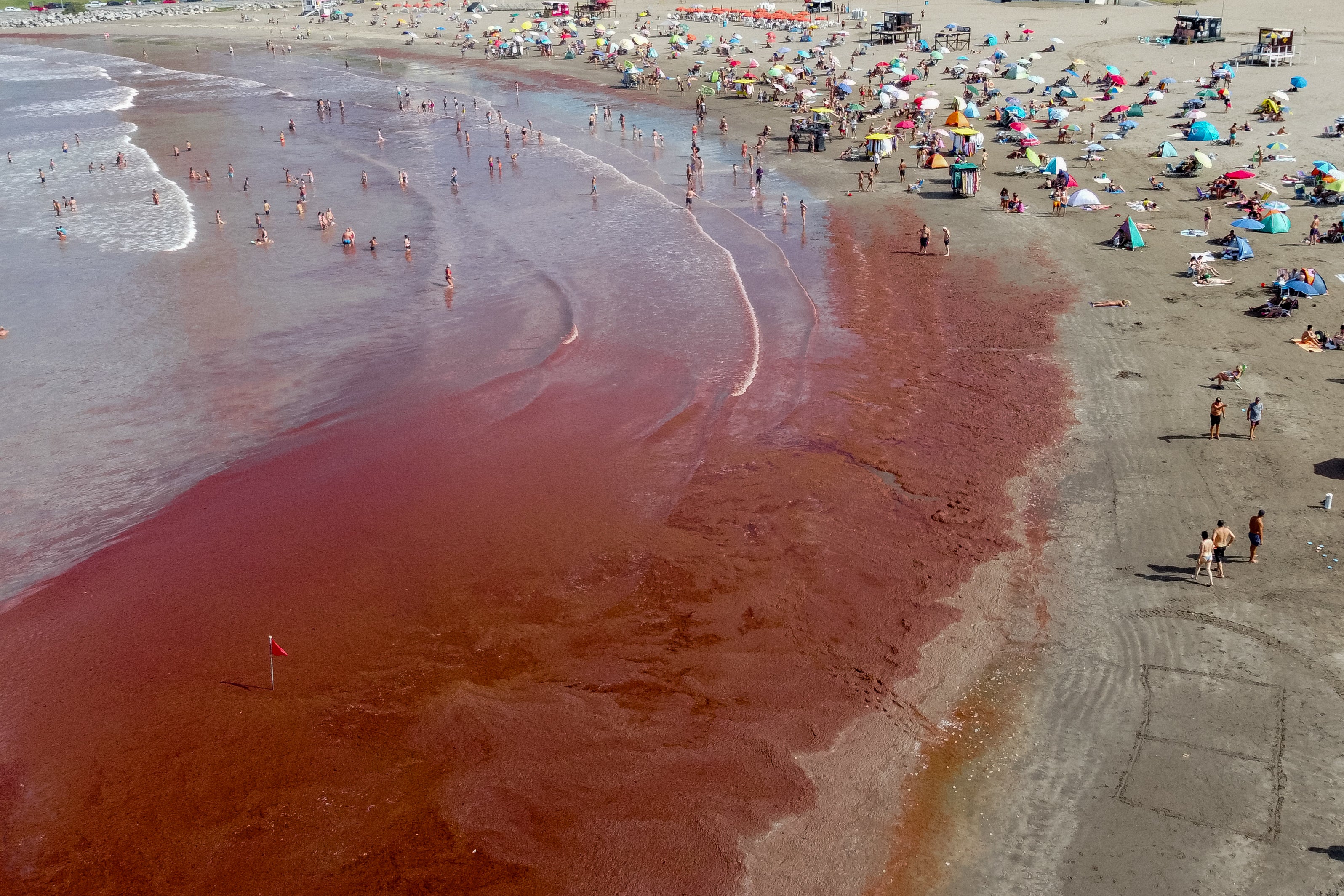 Scientists say they’ve made a discovery that could help forecast the blood-colored red tide events, The algae blooms can be both harmful and expensive to deal with
