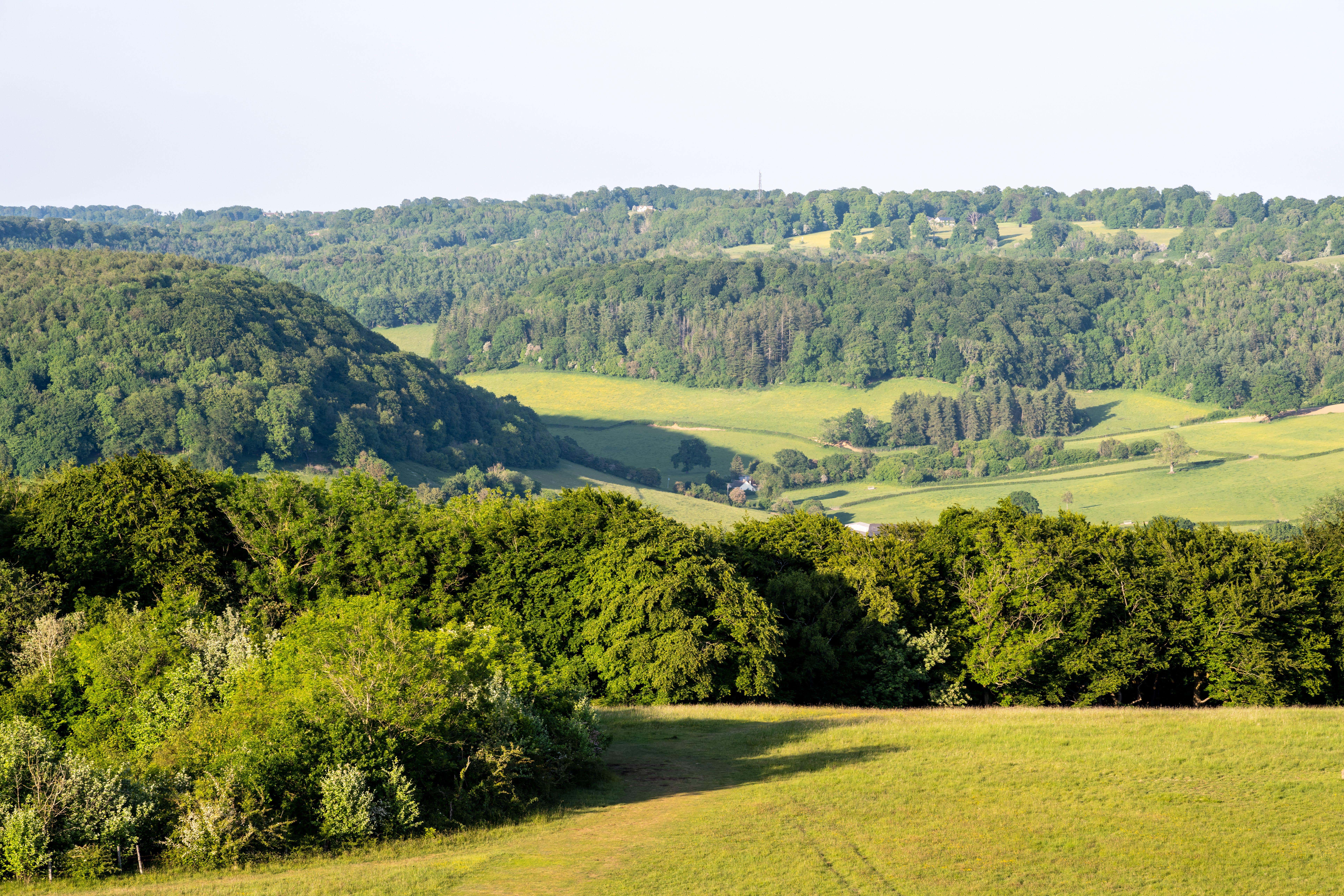 A new national forest will be created in the west of England, the Government has said