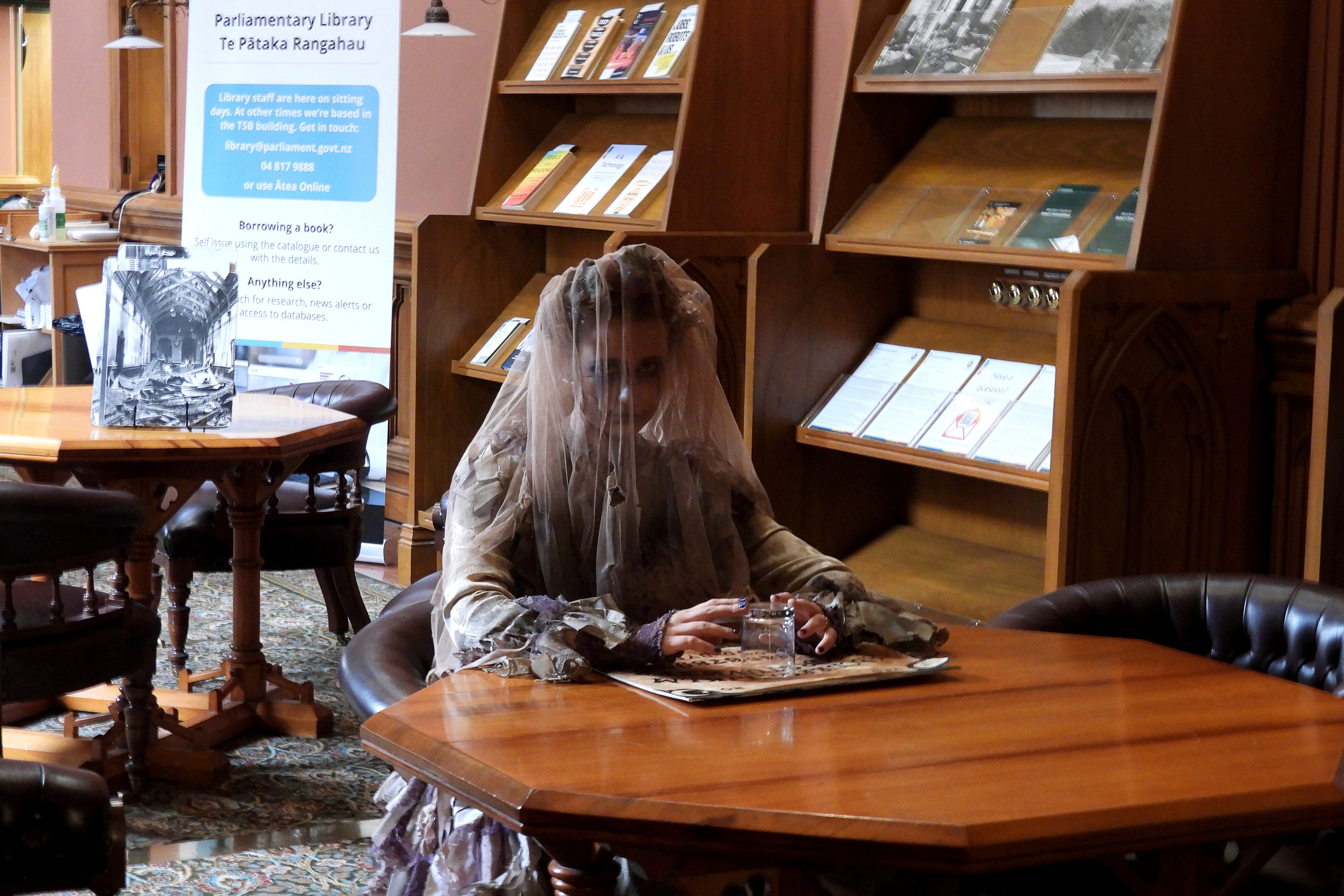 New Zealand Spooky Parliament