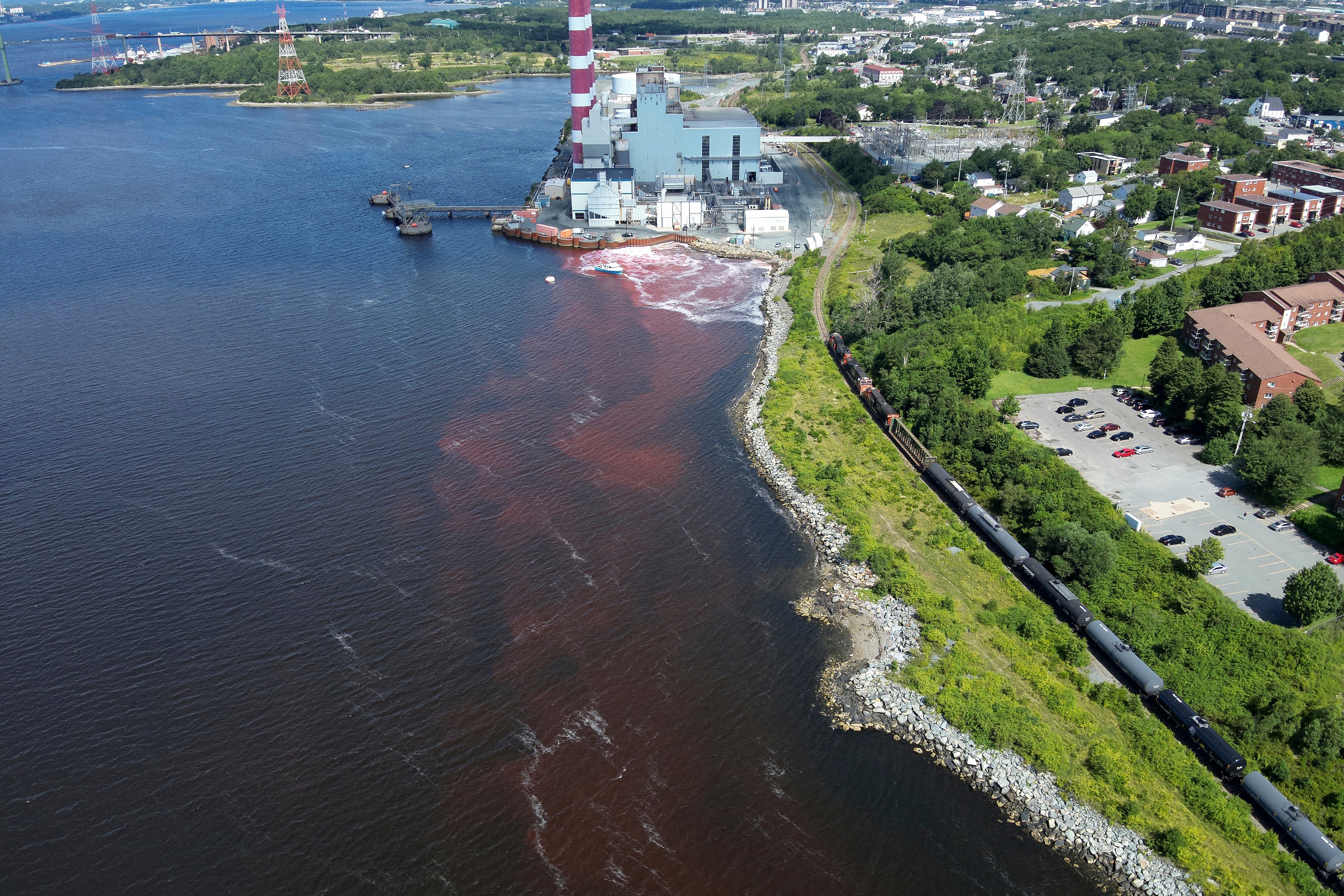 Ocean Fisheries Capturing Carbon