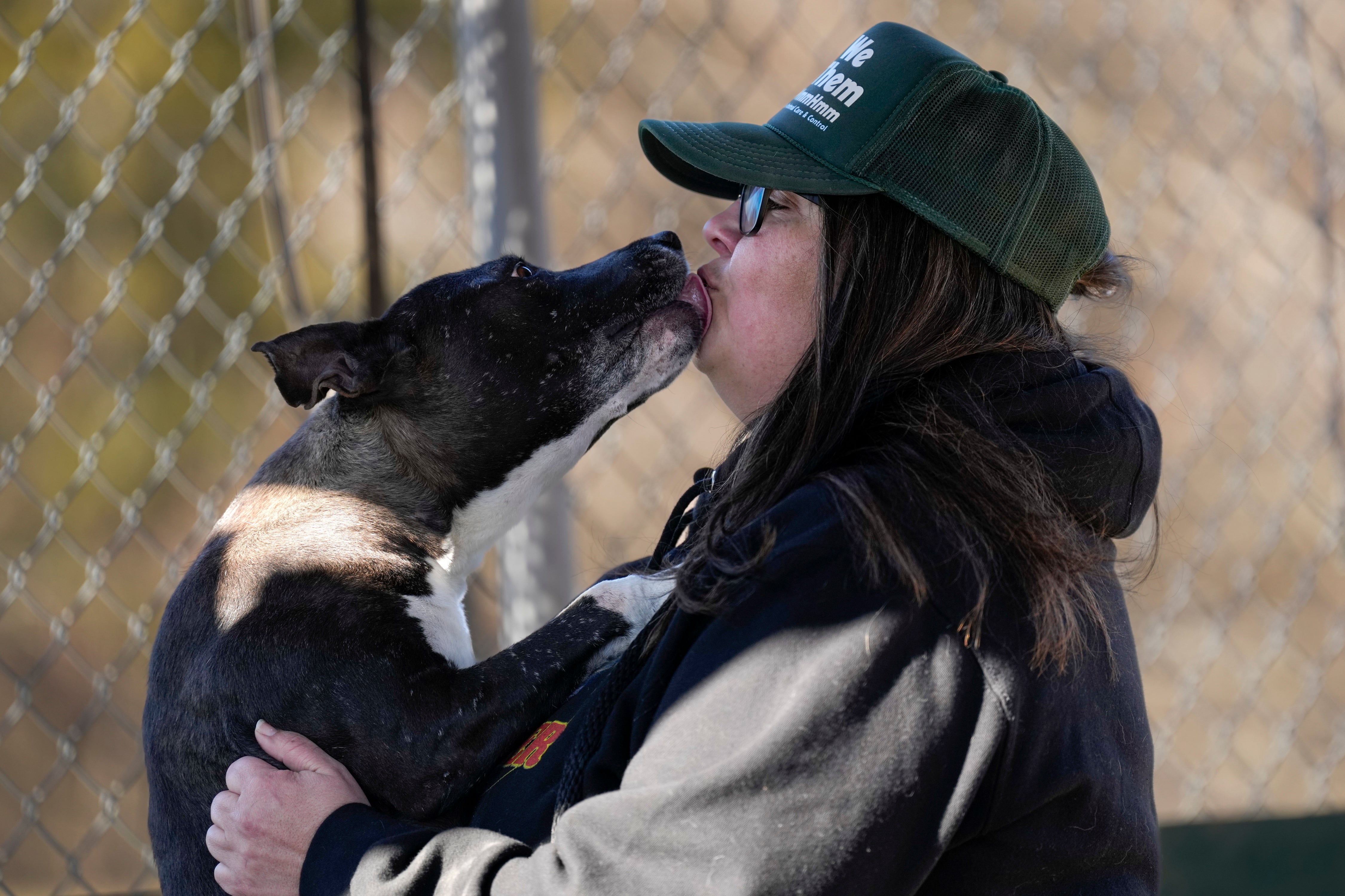 Shelter Dog Influencer