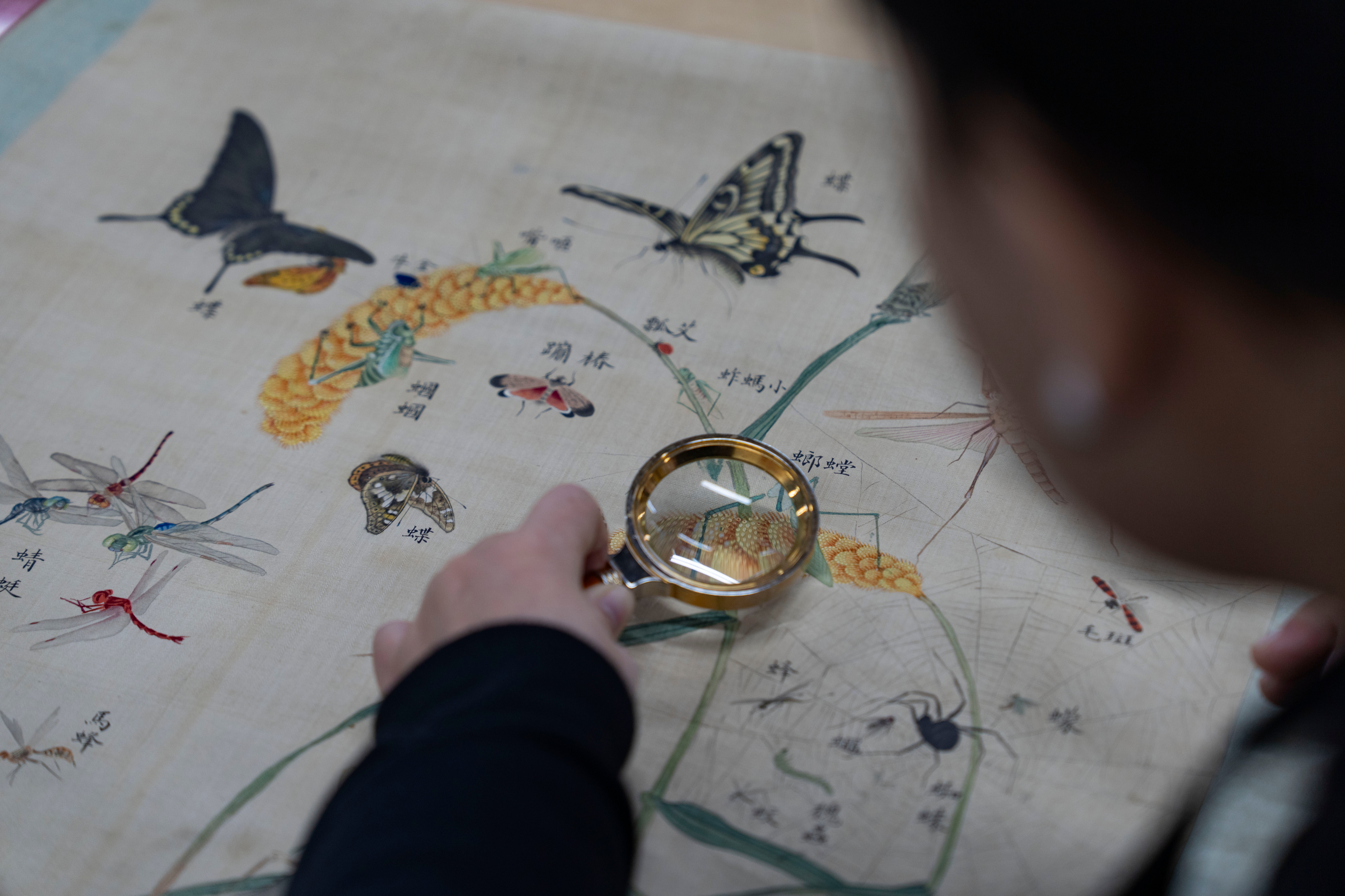 A restorer examines an antique painting