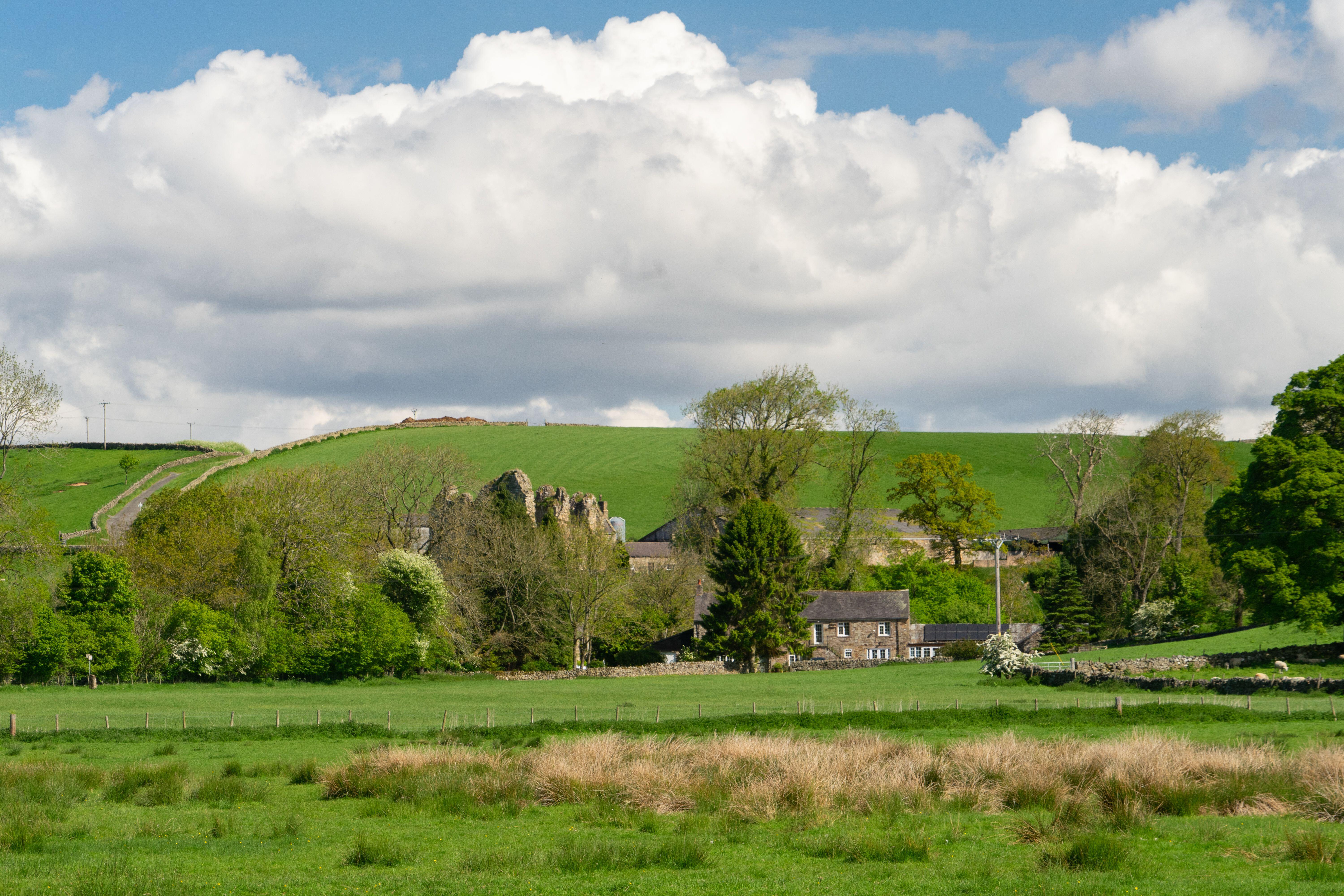 The incident happened in a field at Thirlwall Castle Farm near Gilsland