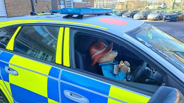 The statue in a police car
