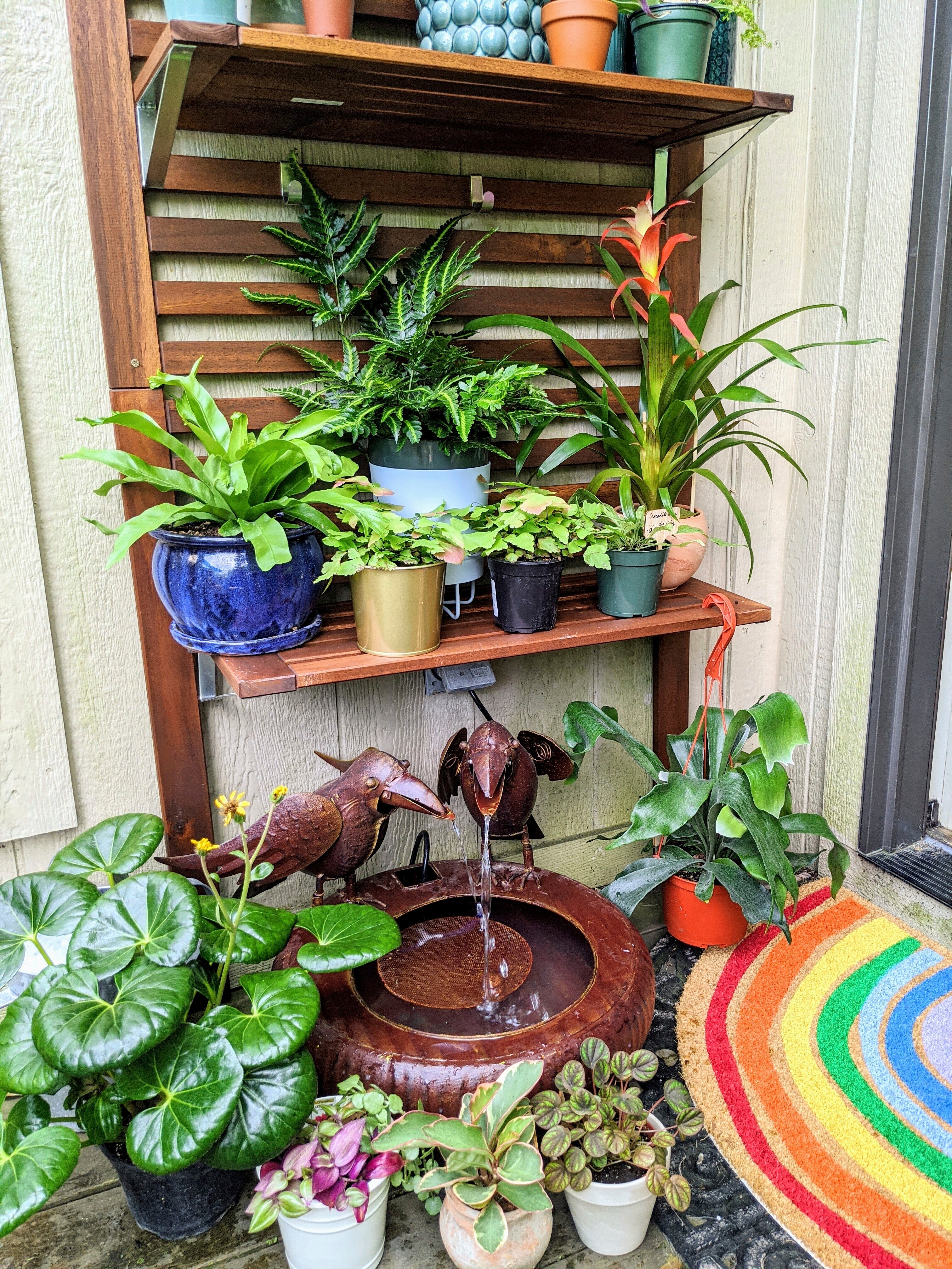 Gardening - Houseplant Vacation